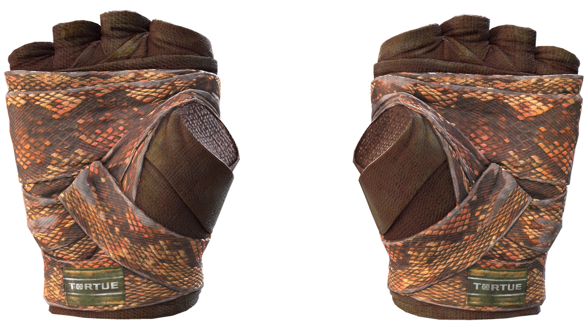Constrictor image