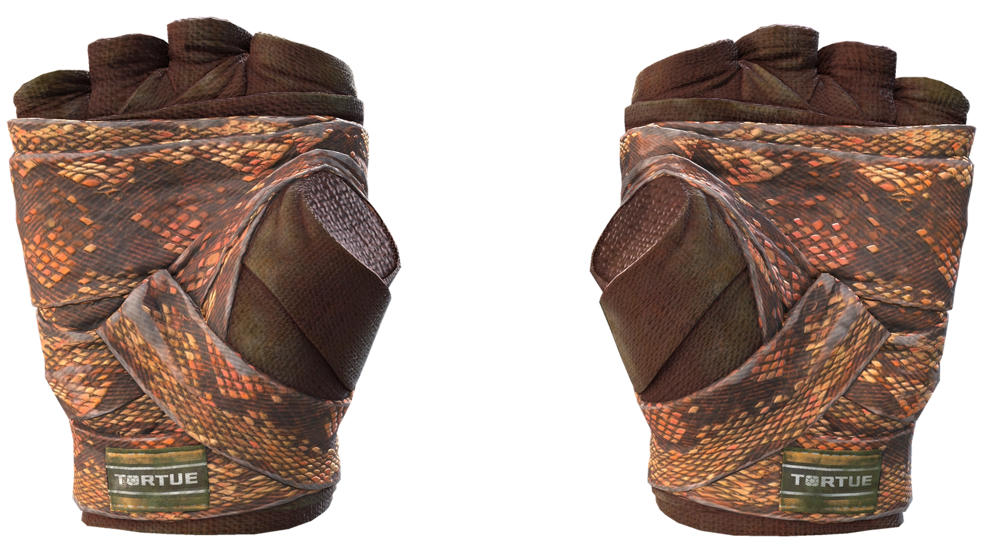 Constrictor image