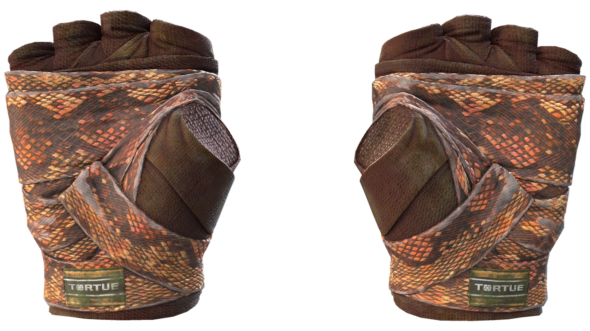 Constrictor image