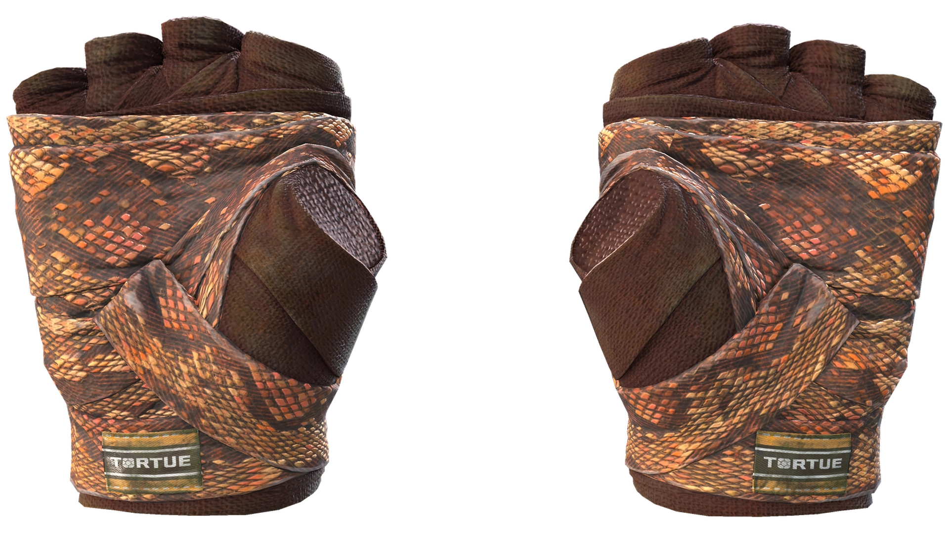 Constrictor image
