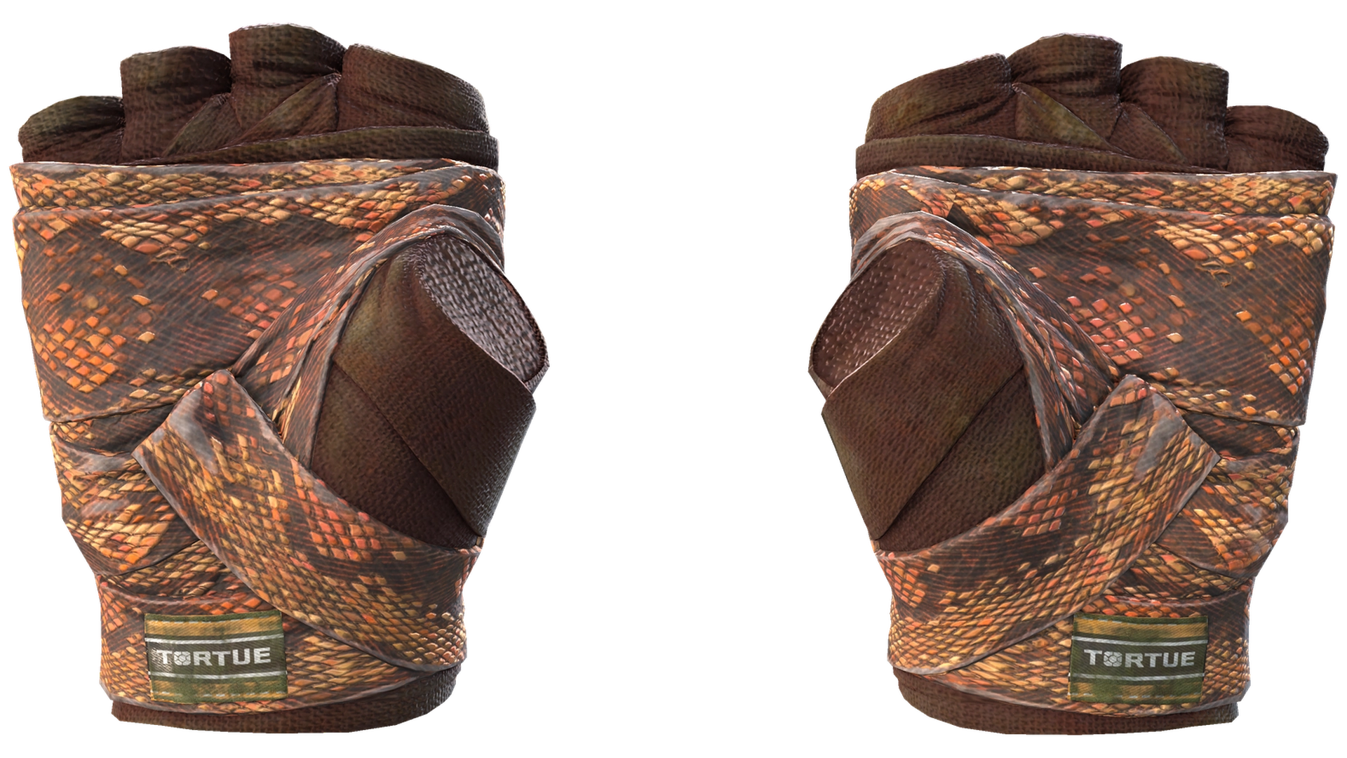 Constrictor image