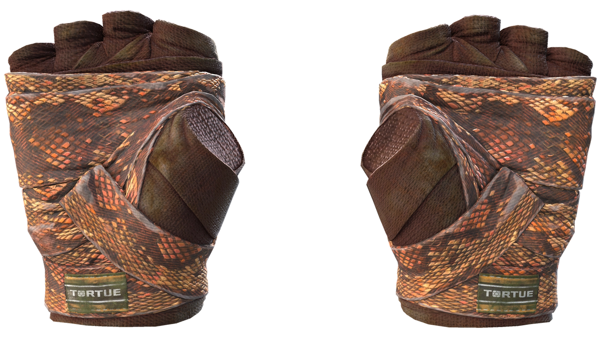 Constrictor image