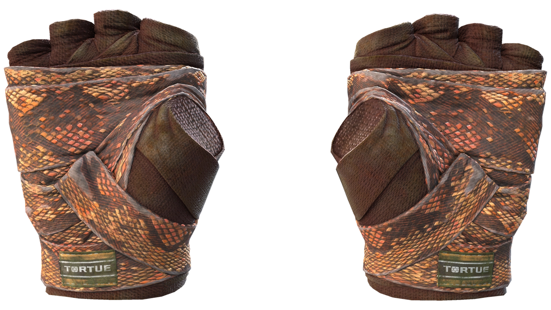 Constrictor image