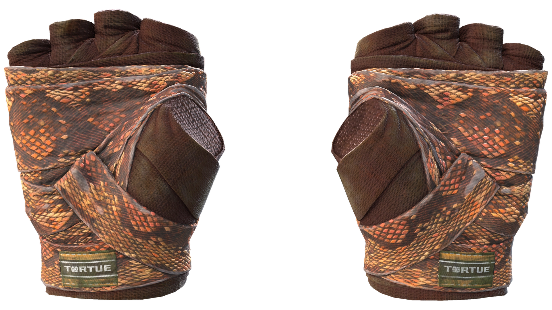 Constrictor image