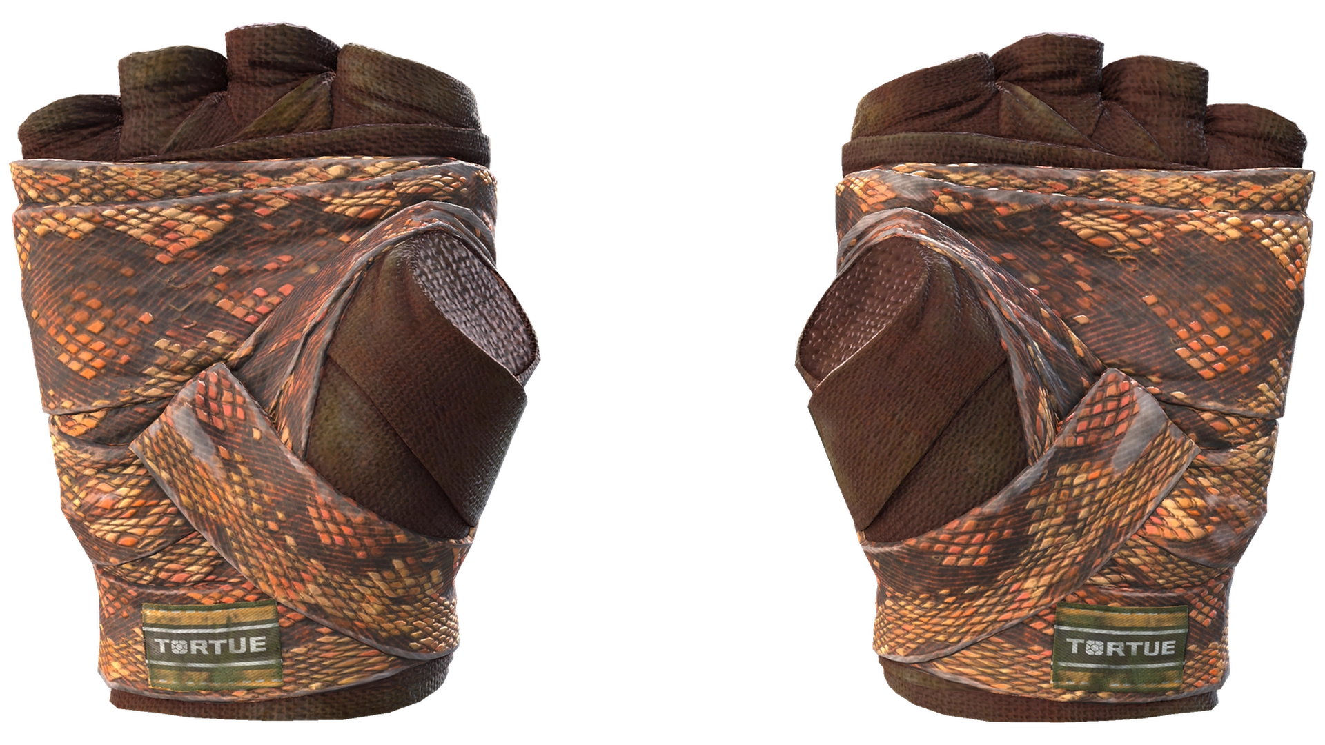 Constrictor image