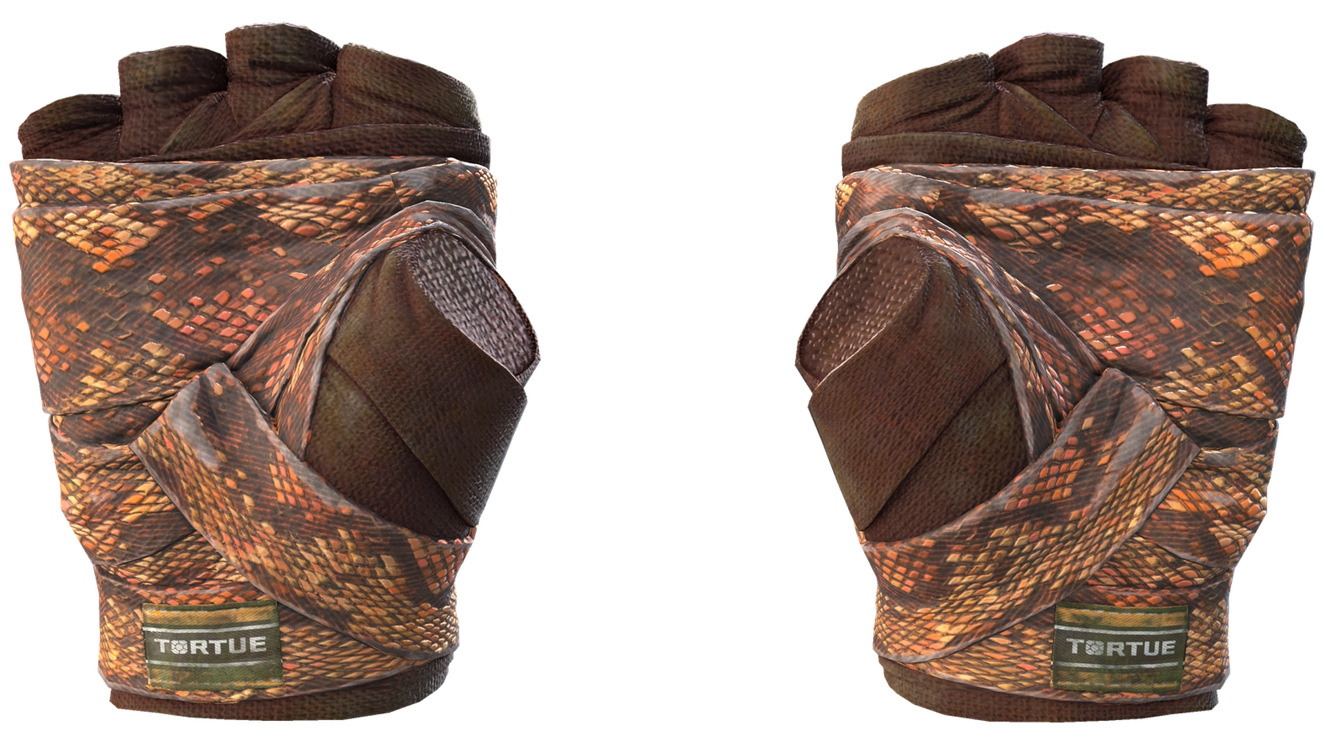 Constrictor image