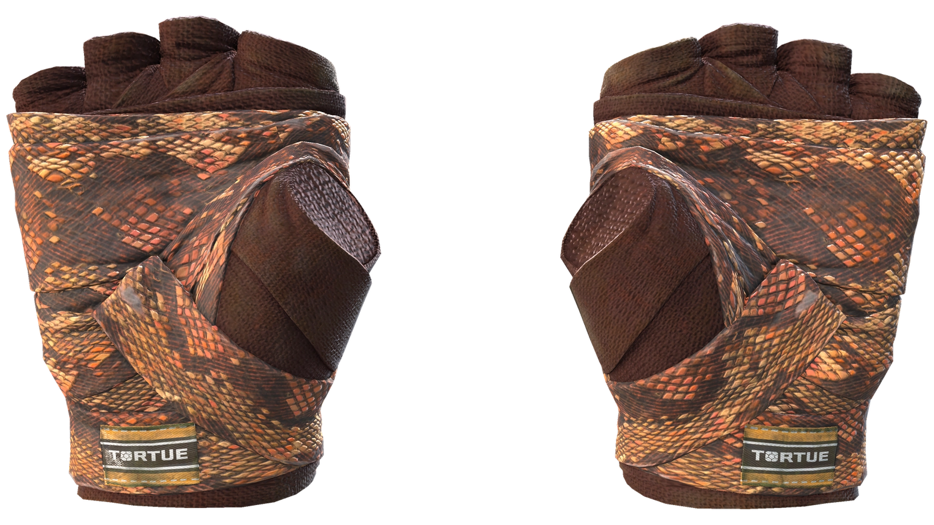 Constrictor image
