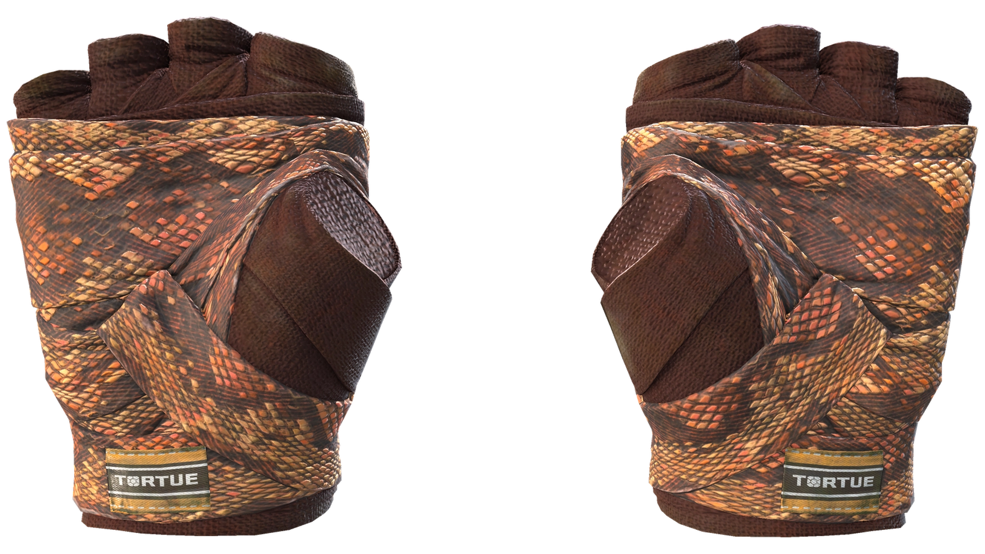 Constrictor image