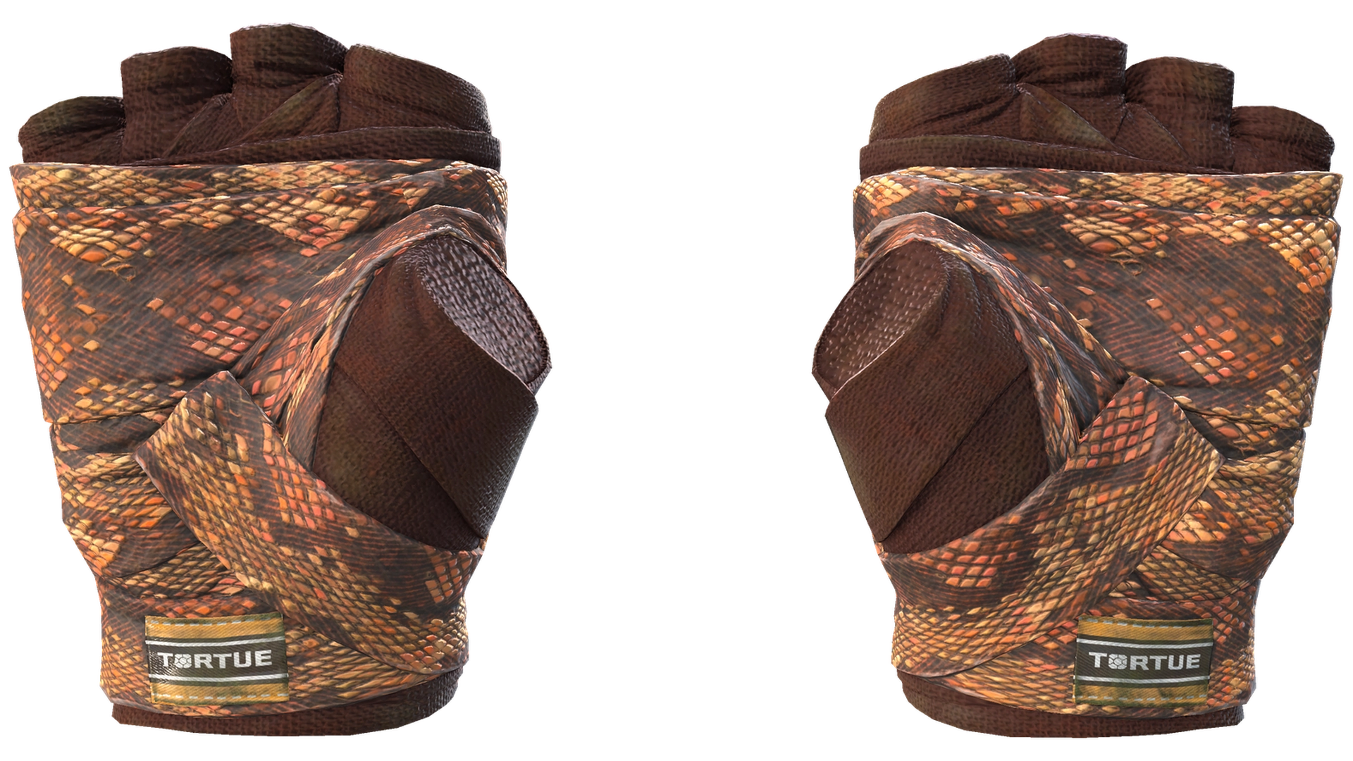 Constrictor image