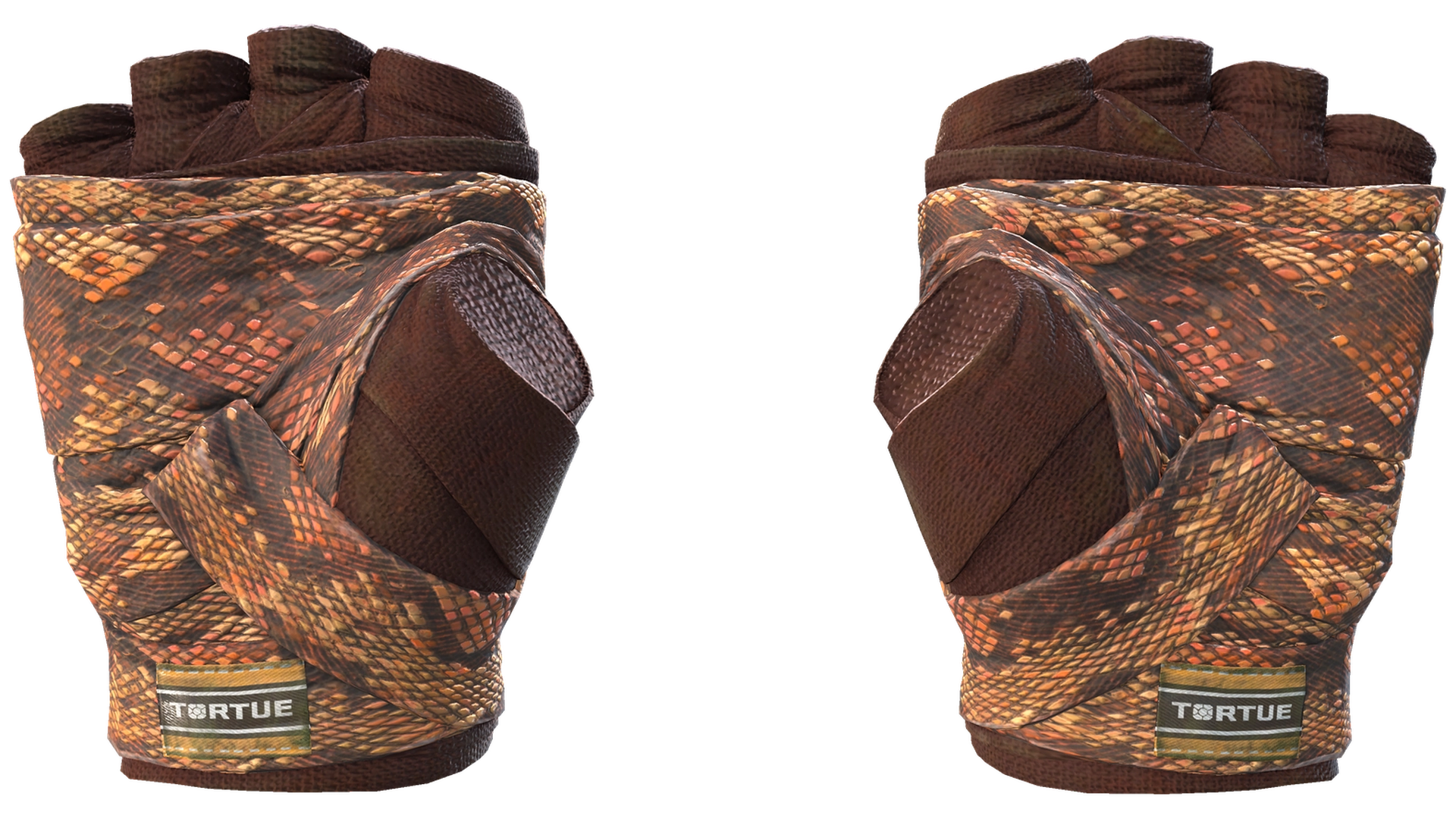 Constrictor image