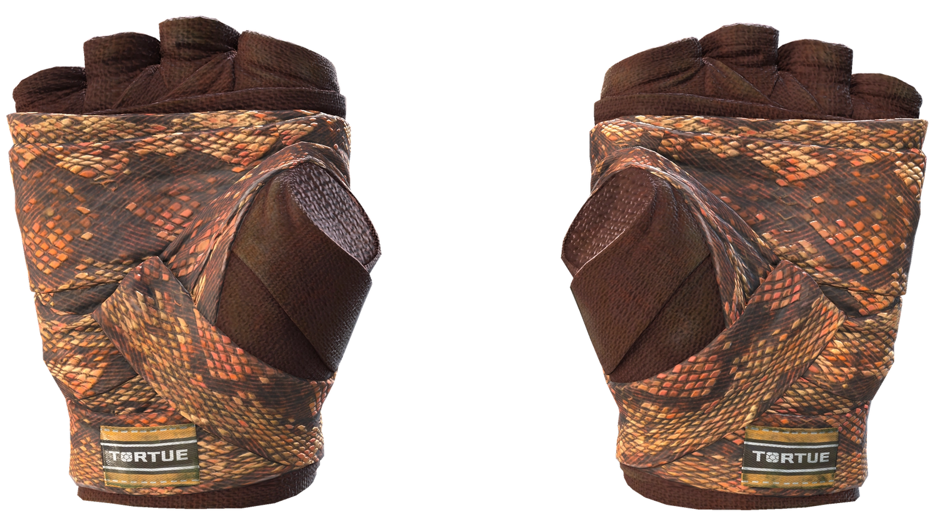 Constrictor image