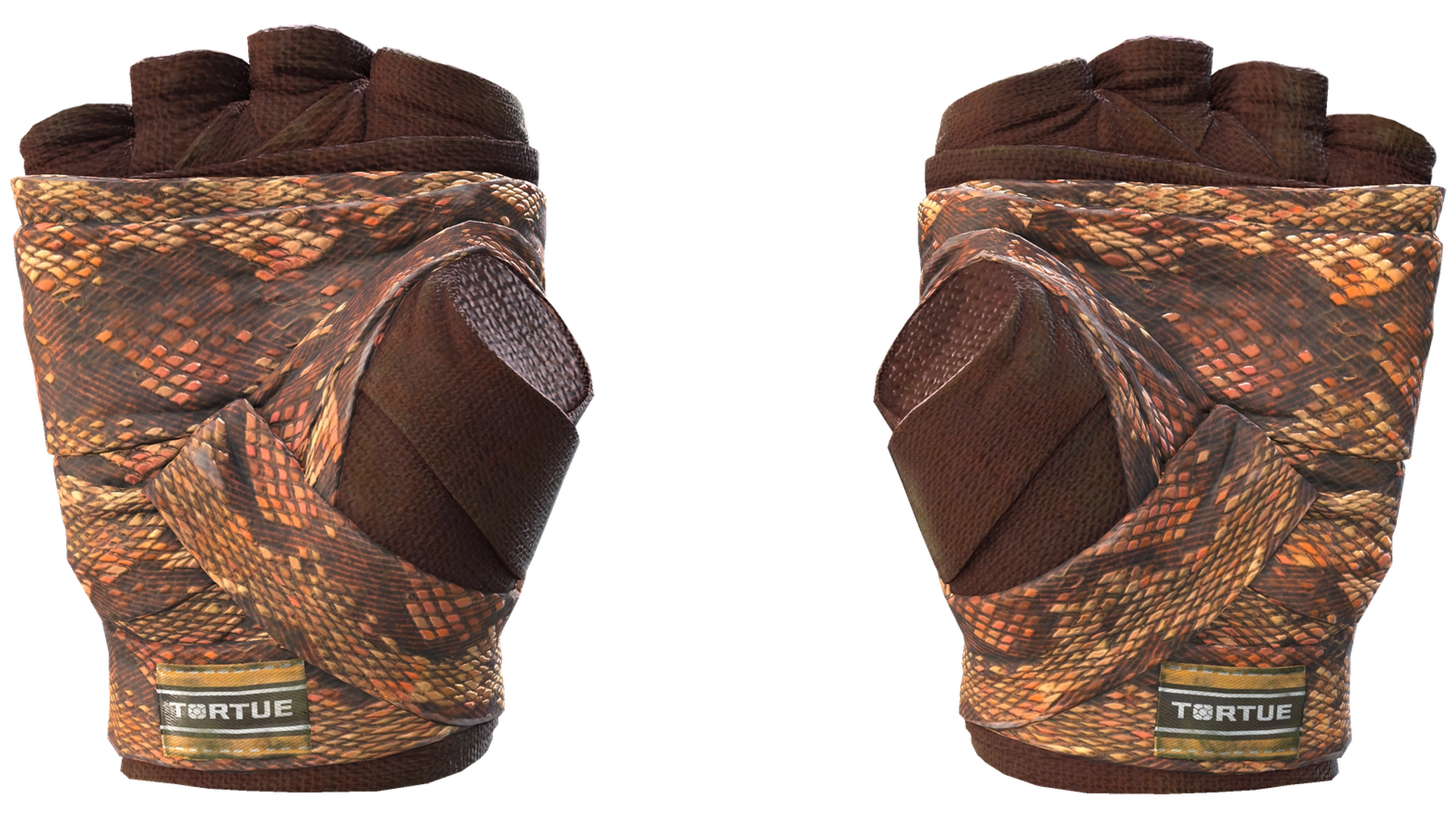 Constrictor image