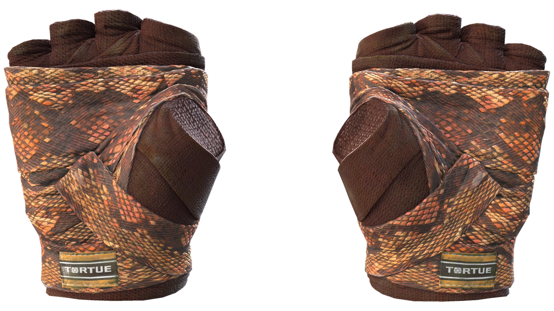 Constrictor image