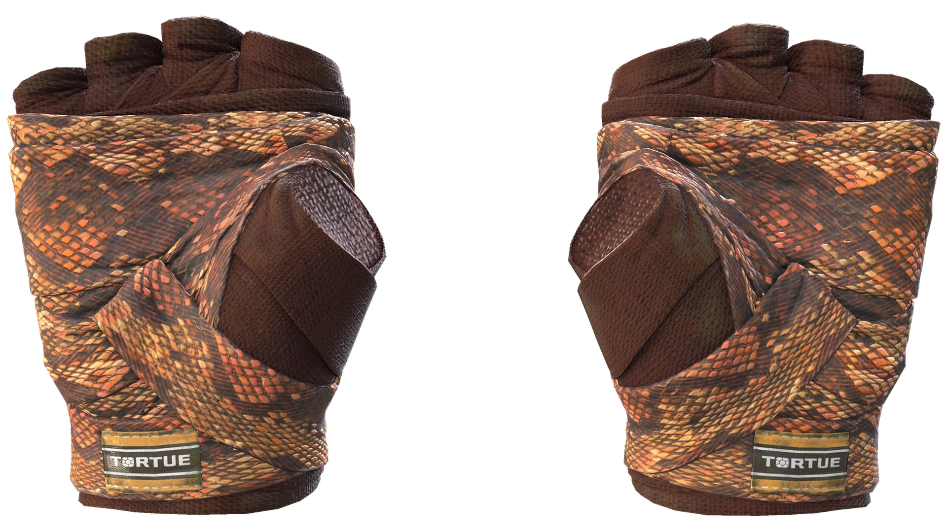 Constrictor image