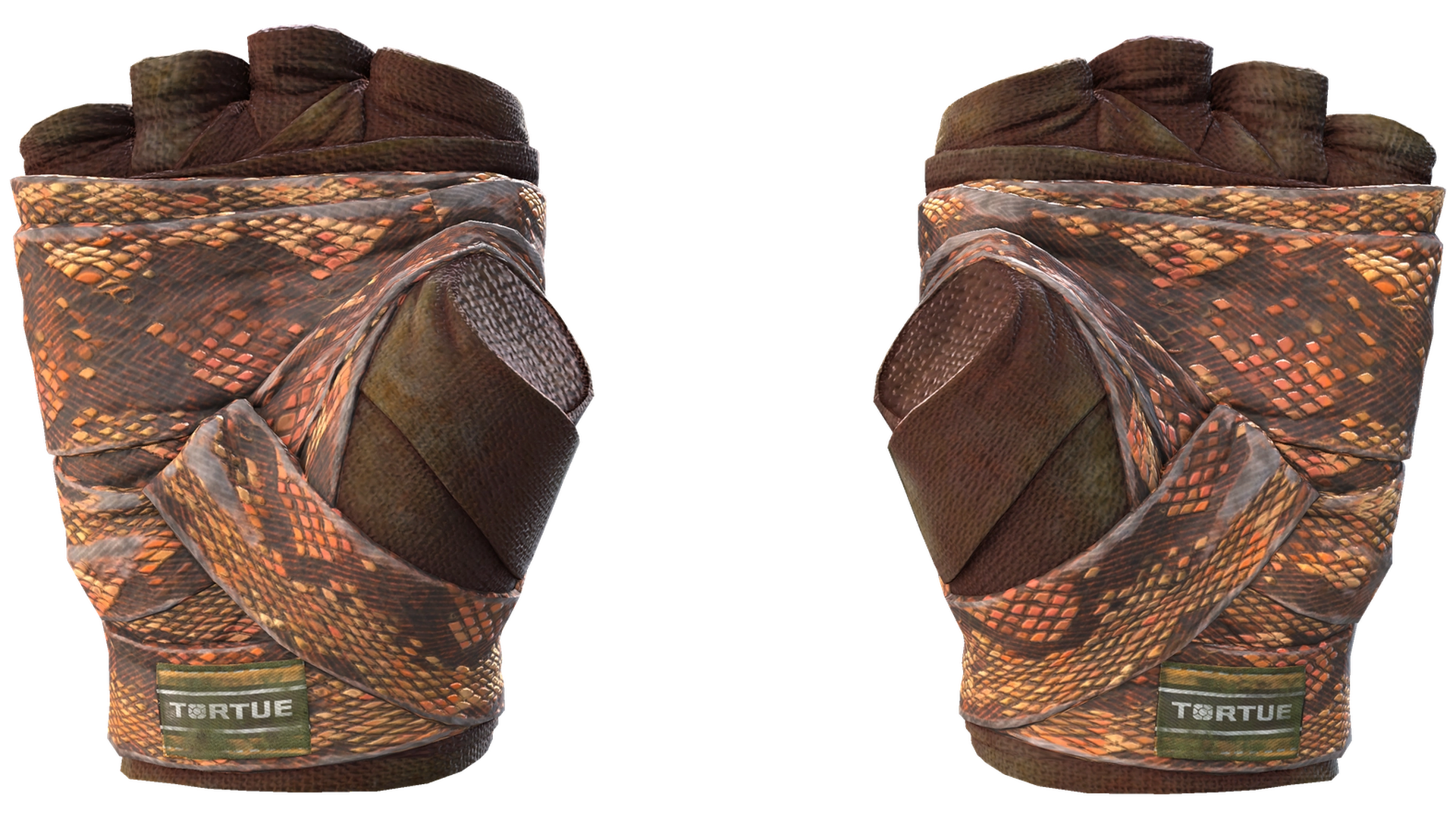 Constrictor image