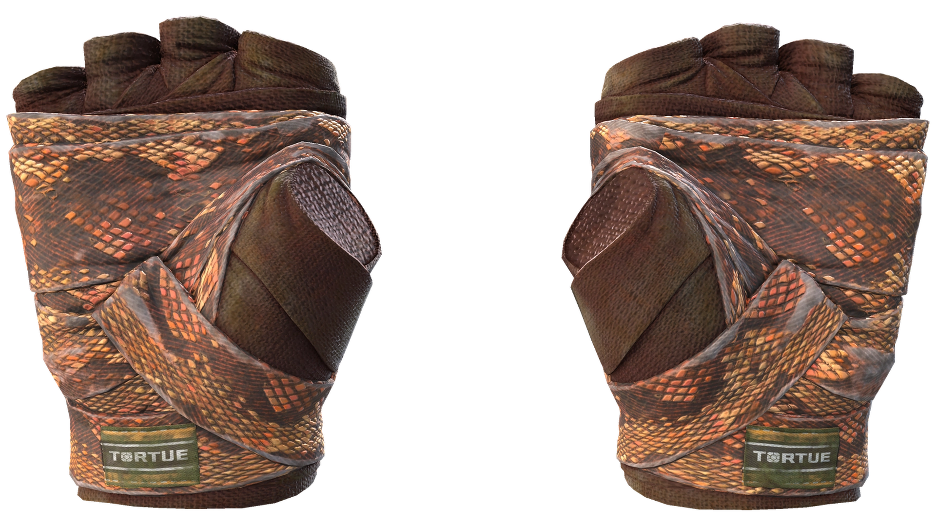 Constrictor image