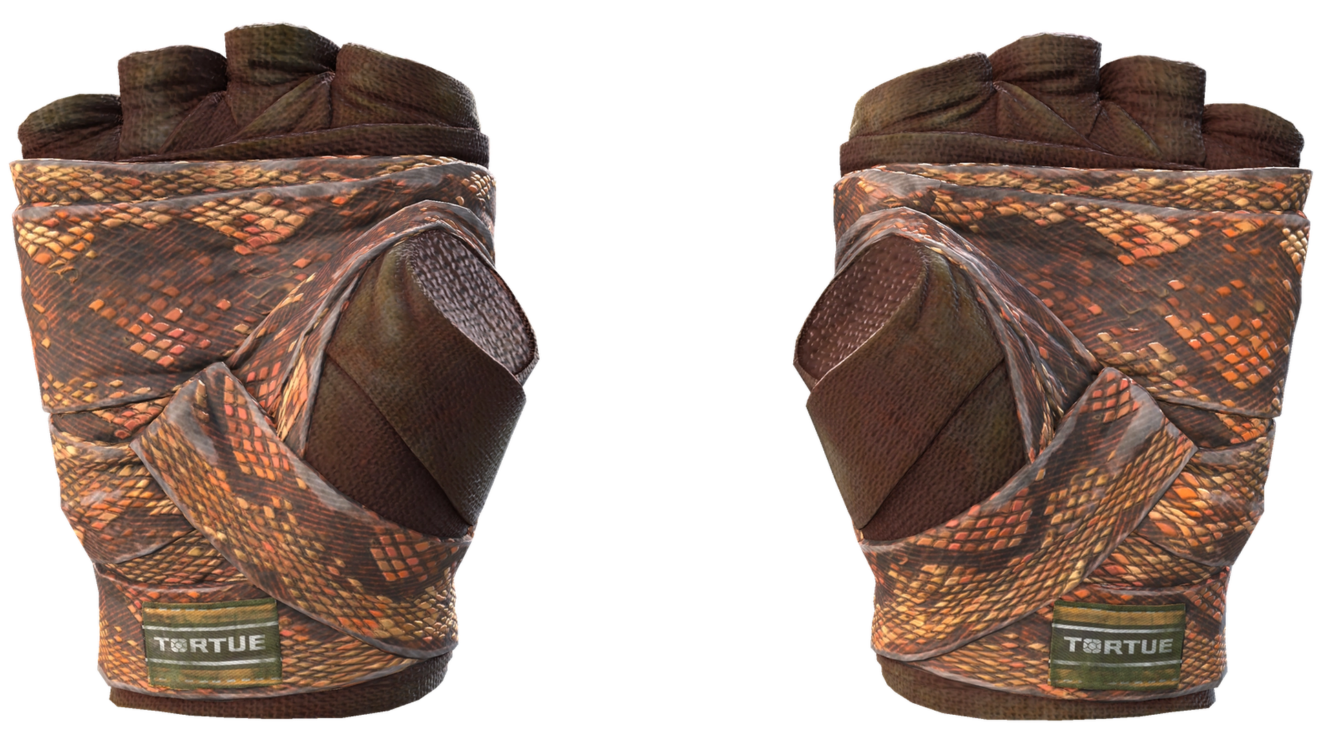 Constrictor image