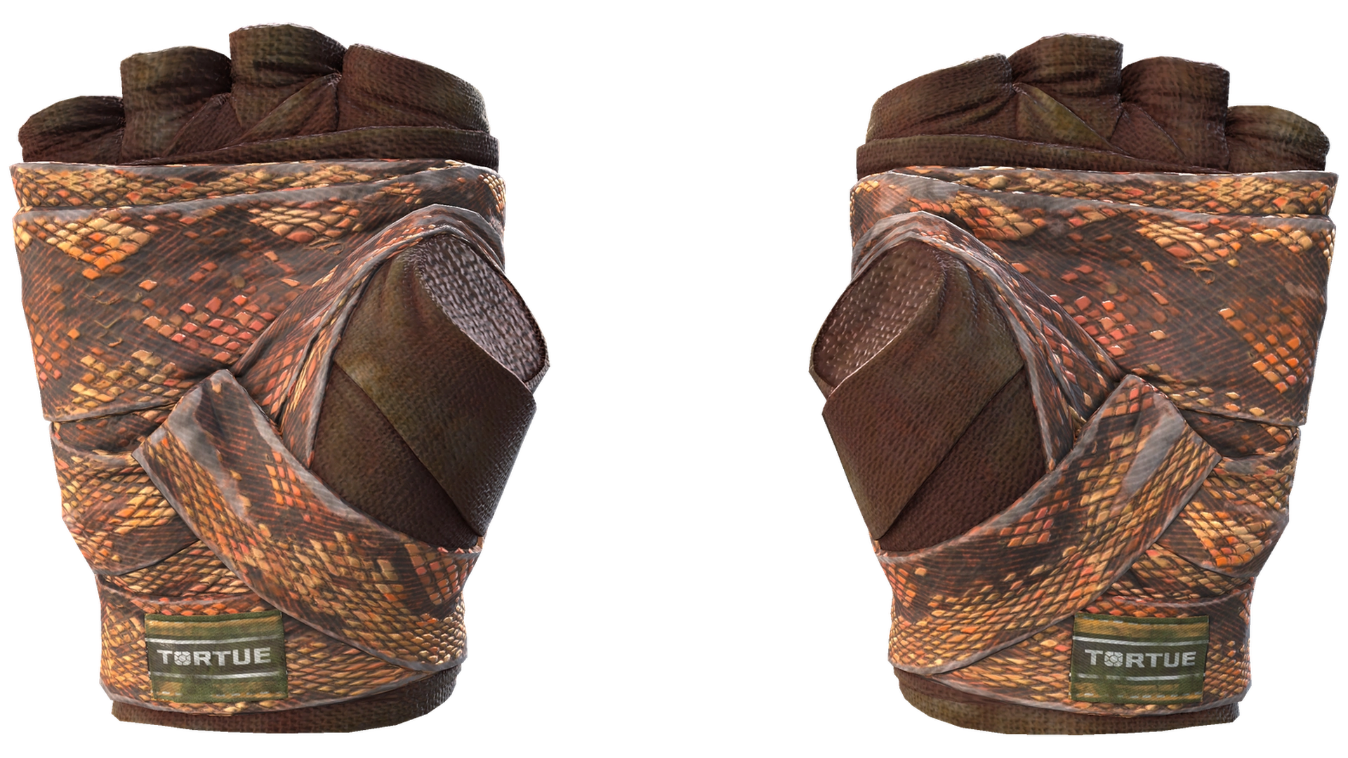Constrictor image