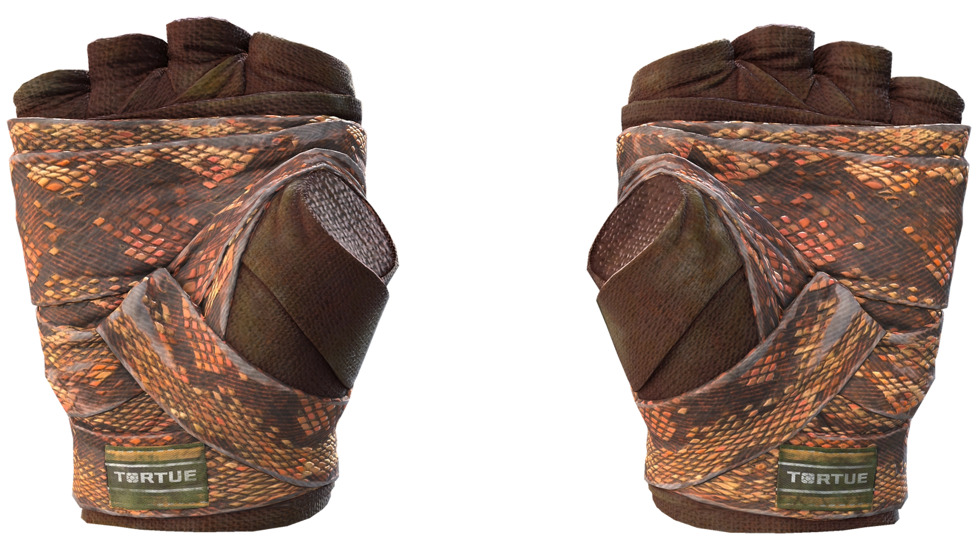 Constrictor image