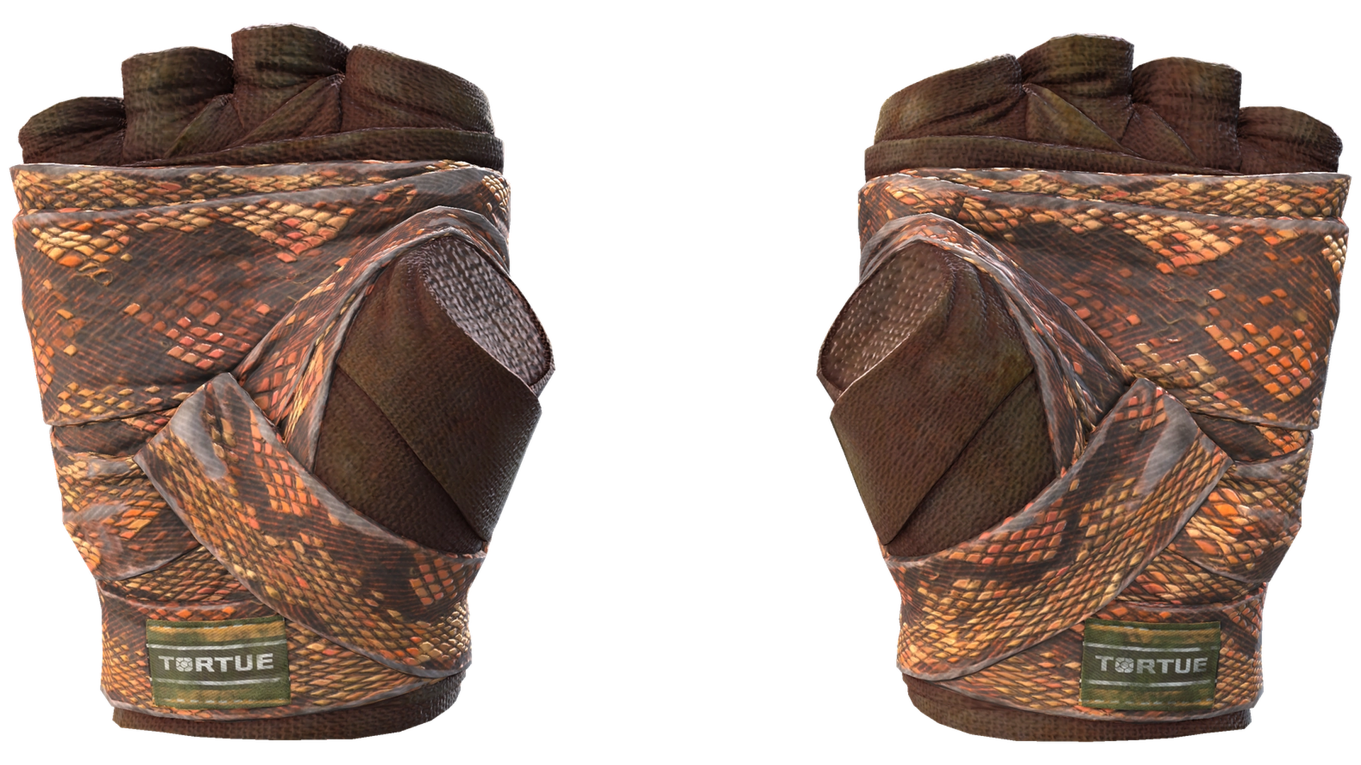 Constrictor image