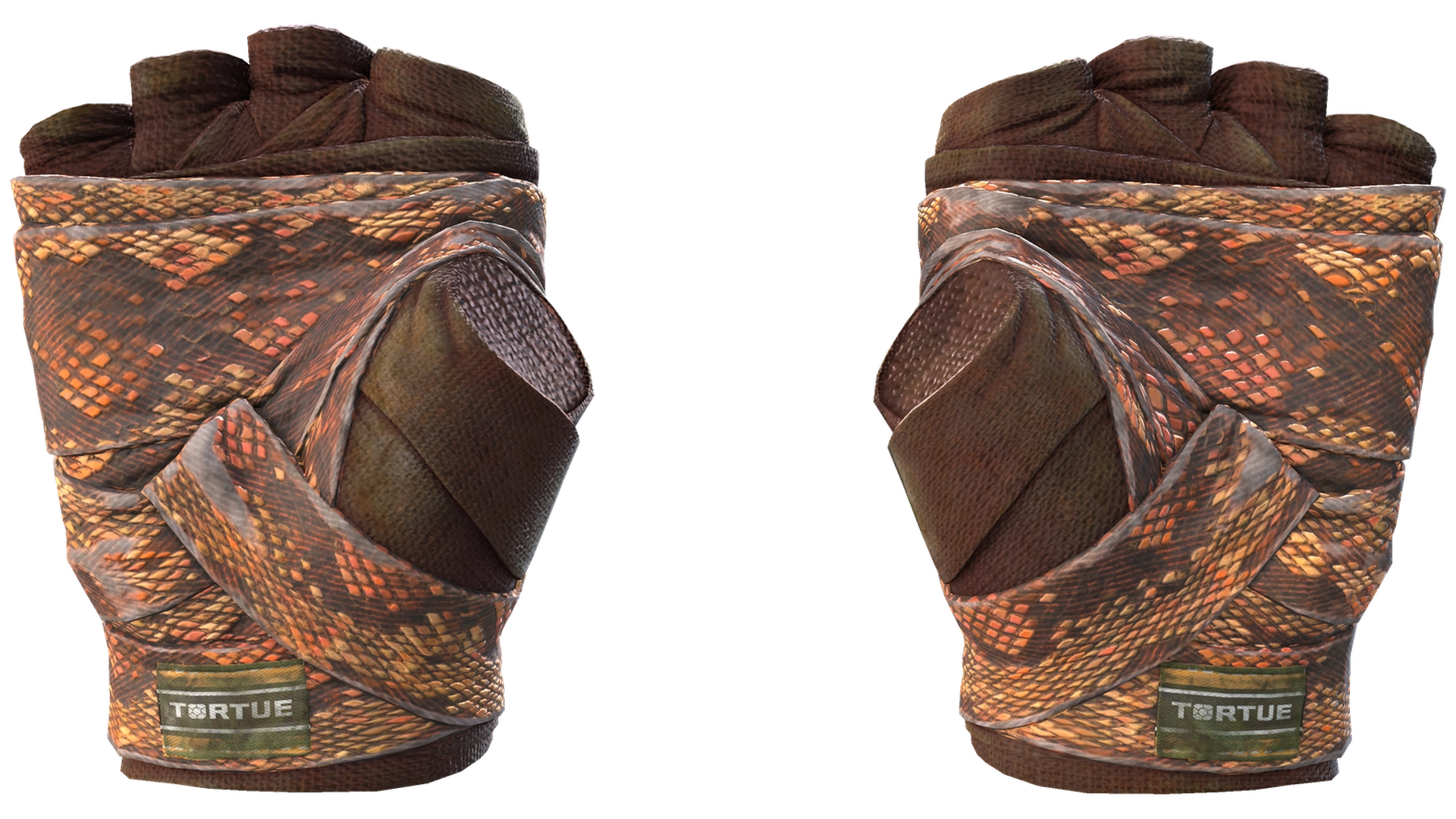 Constrictor image