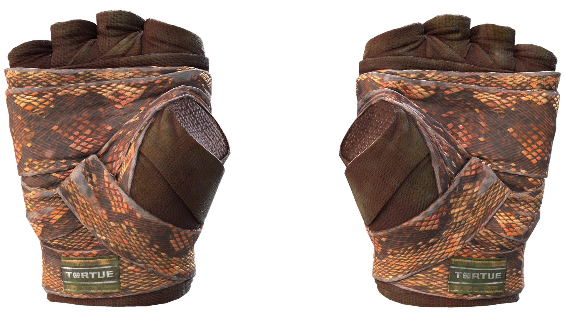 Constrictor image