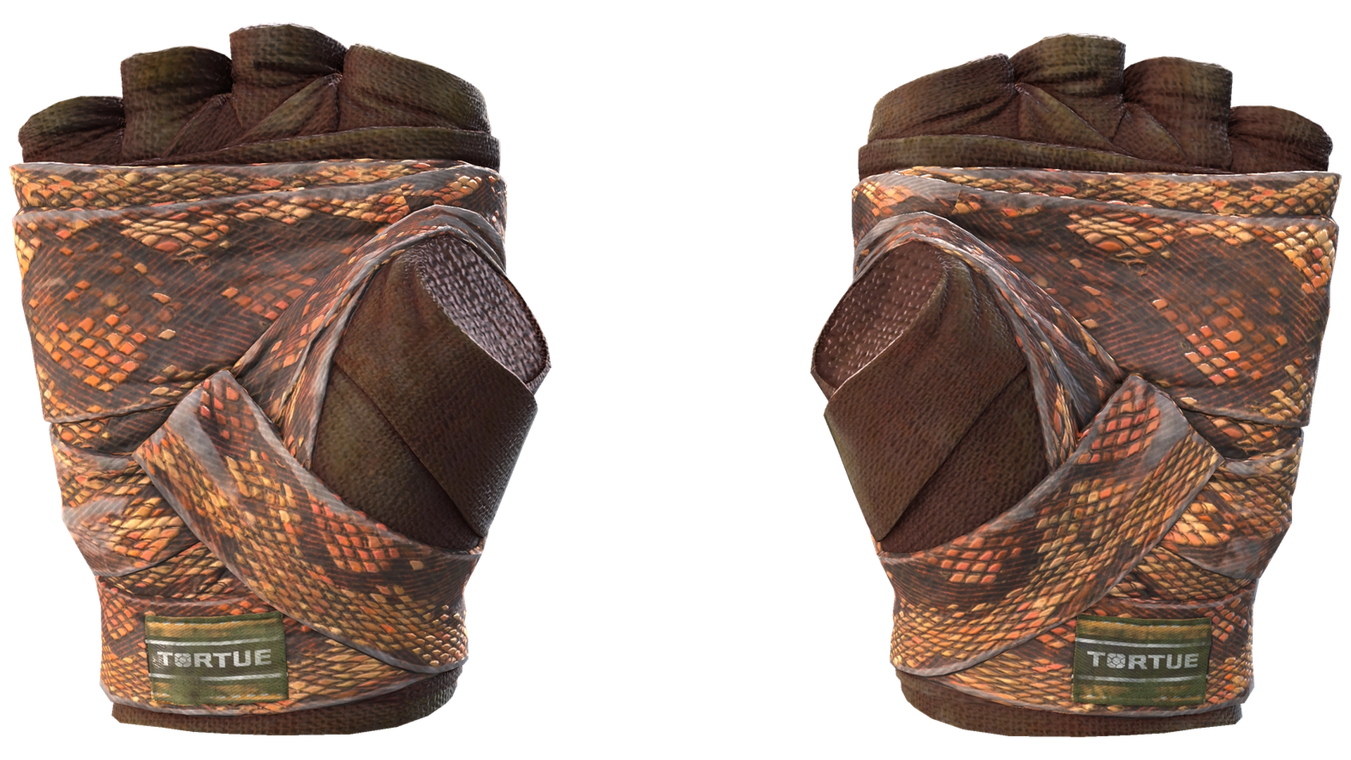 Constrictor image
