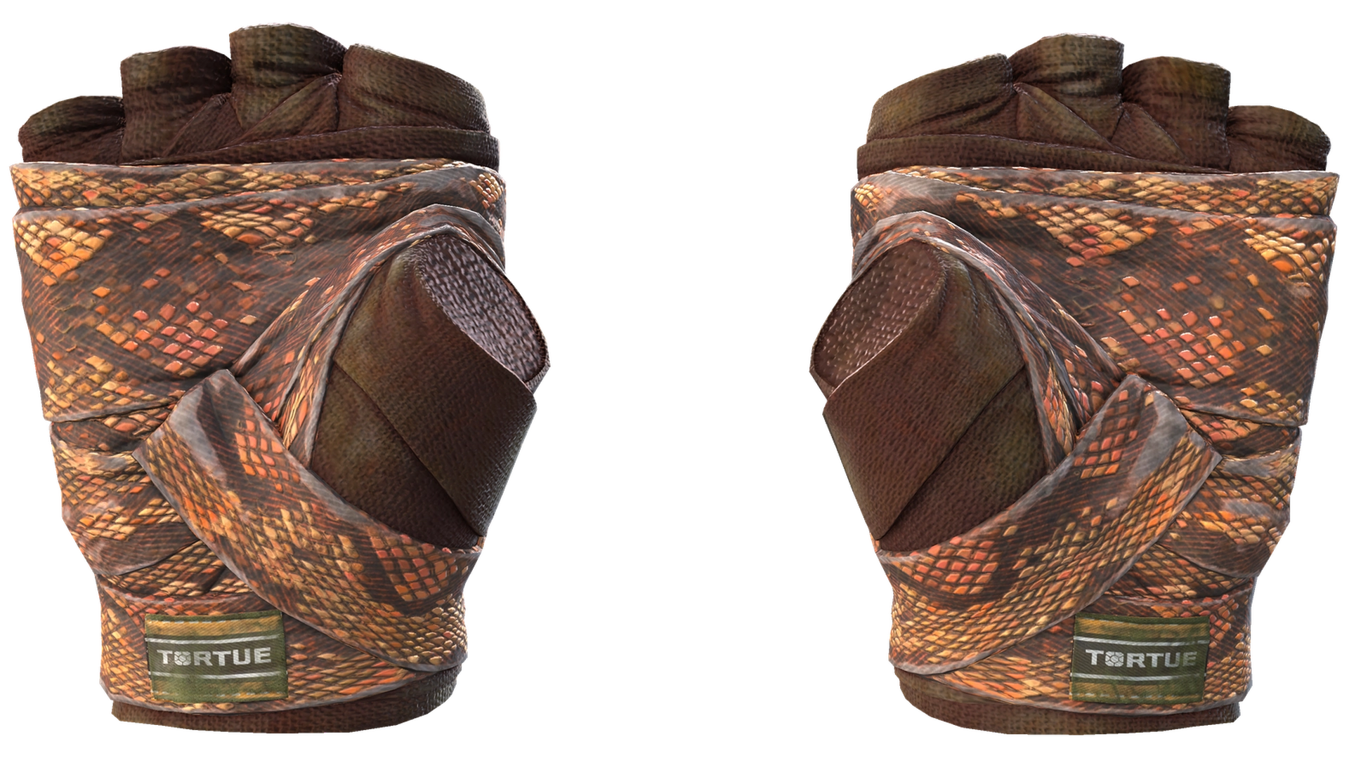 Constrictor image