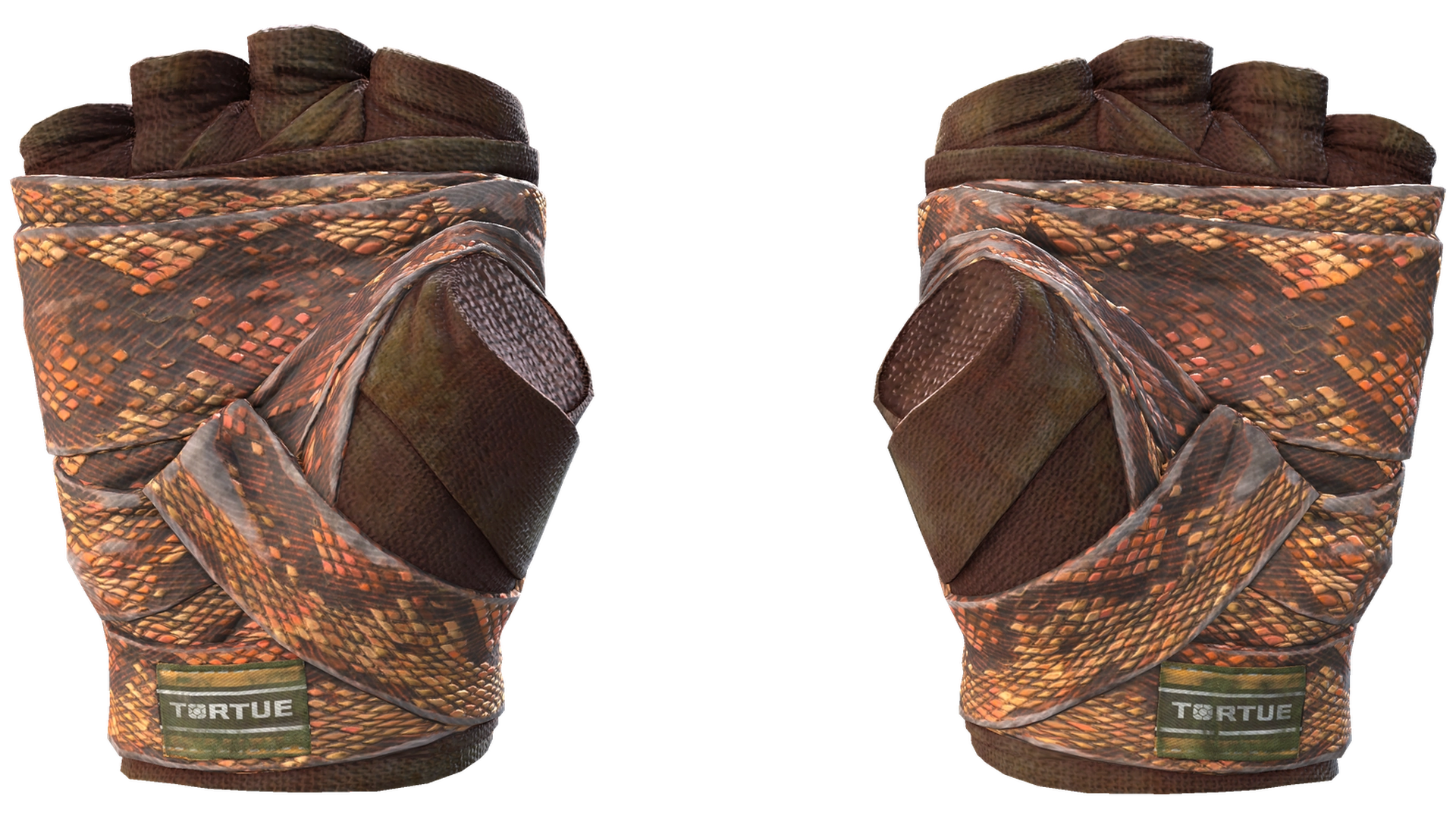 Constrictor image