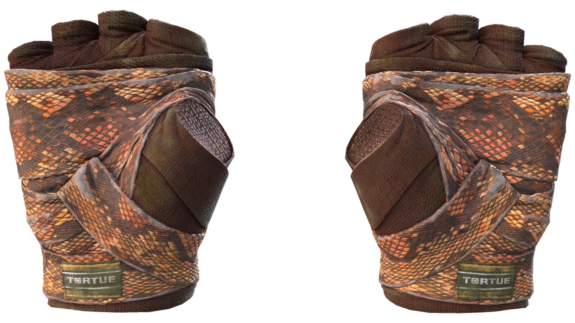 Constrictor image