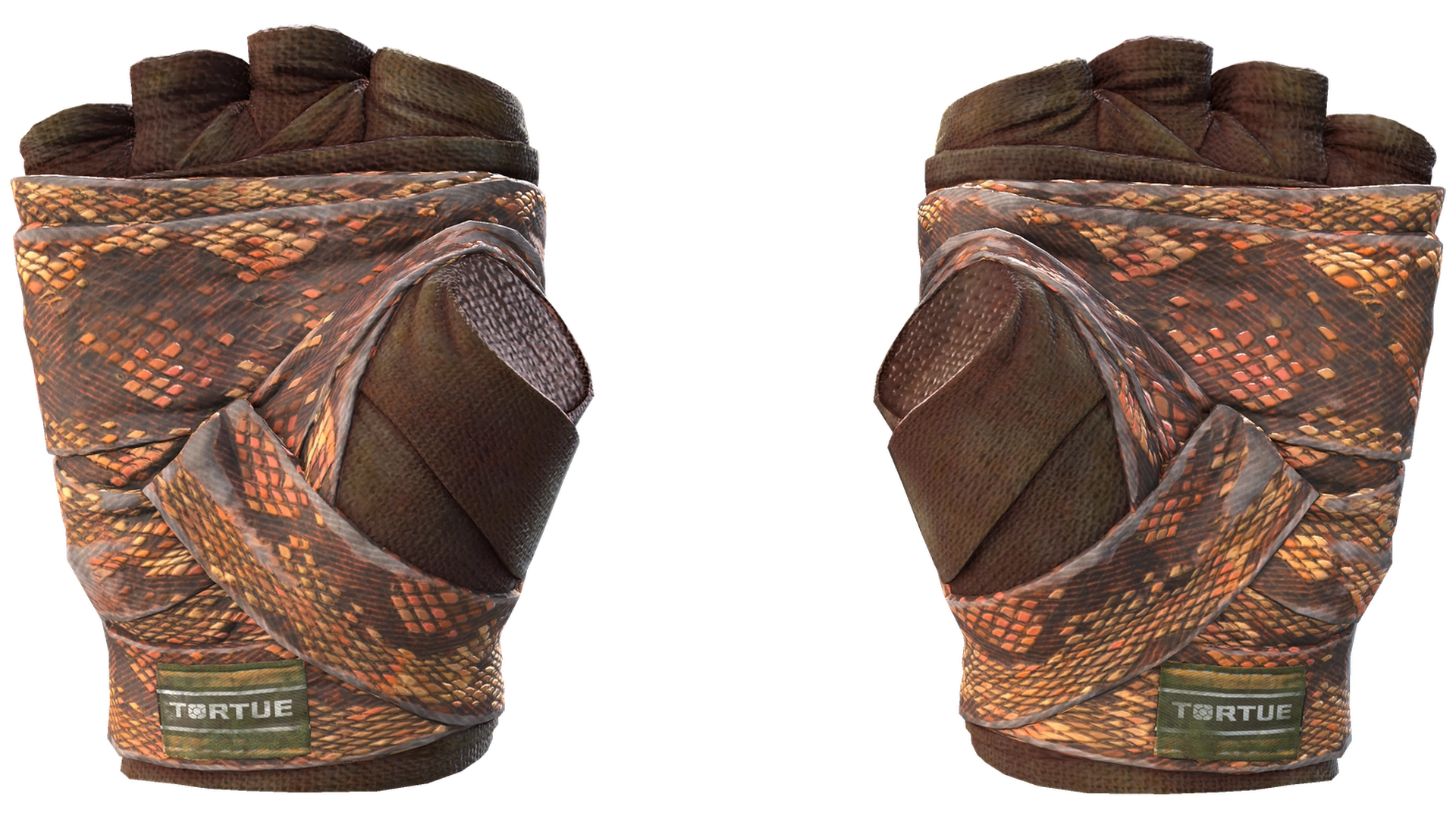 Constrictor image