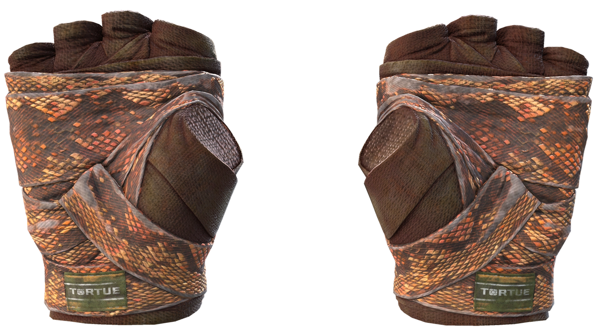 Constrictor image