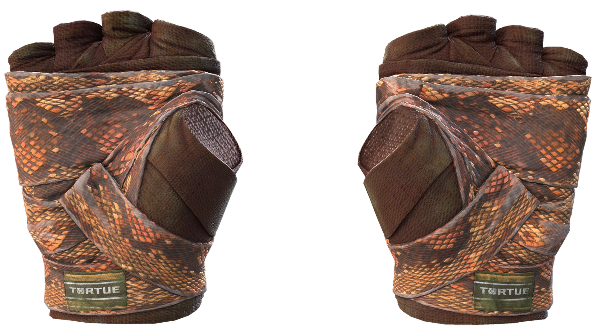 Constrictor image