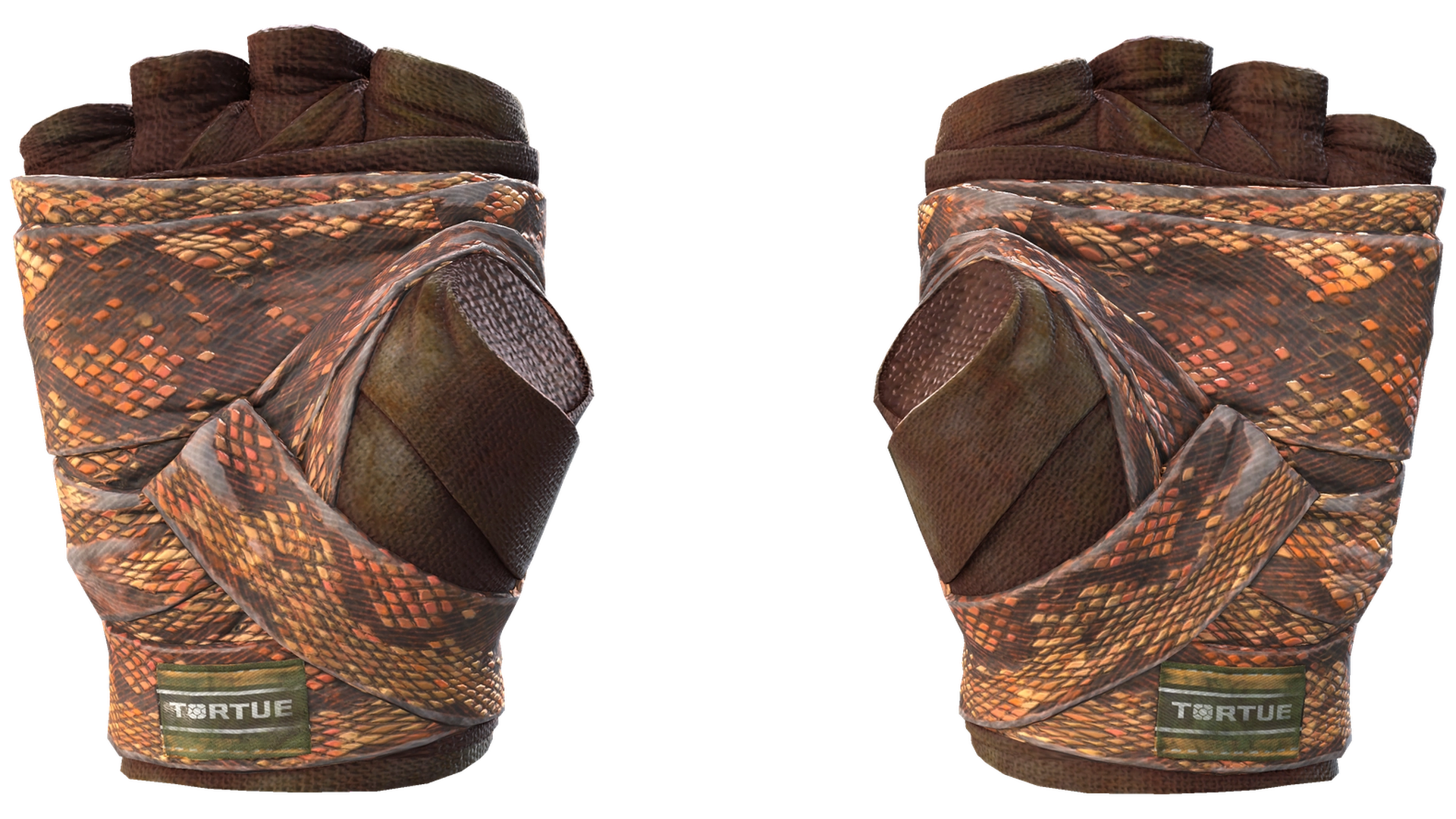 Constrictor image