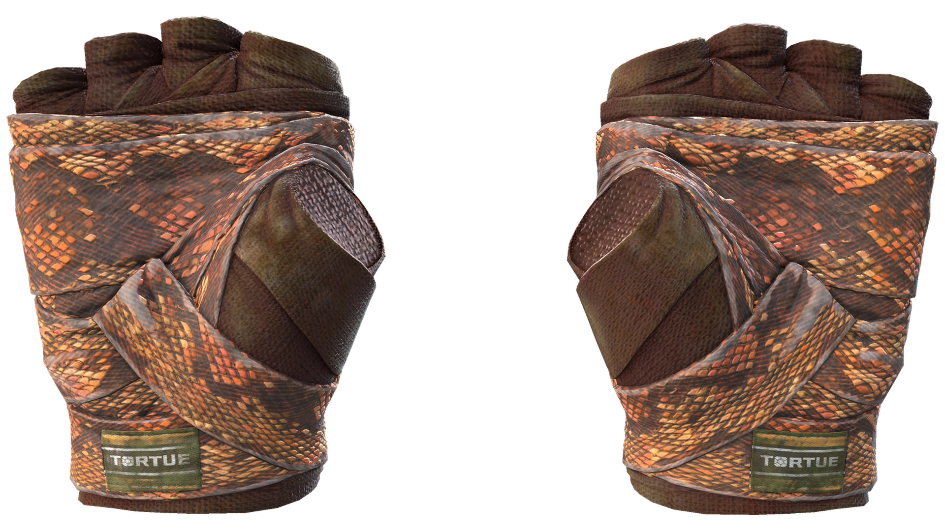 Constrictor image