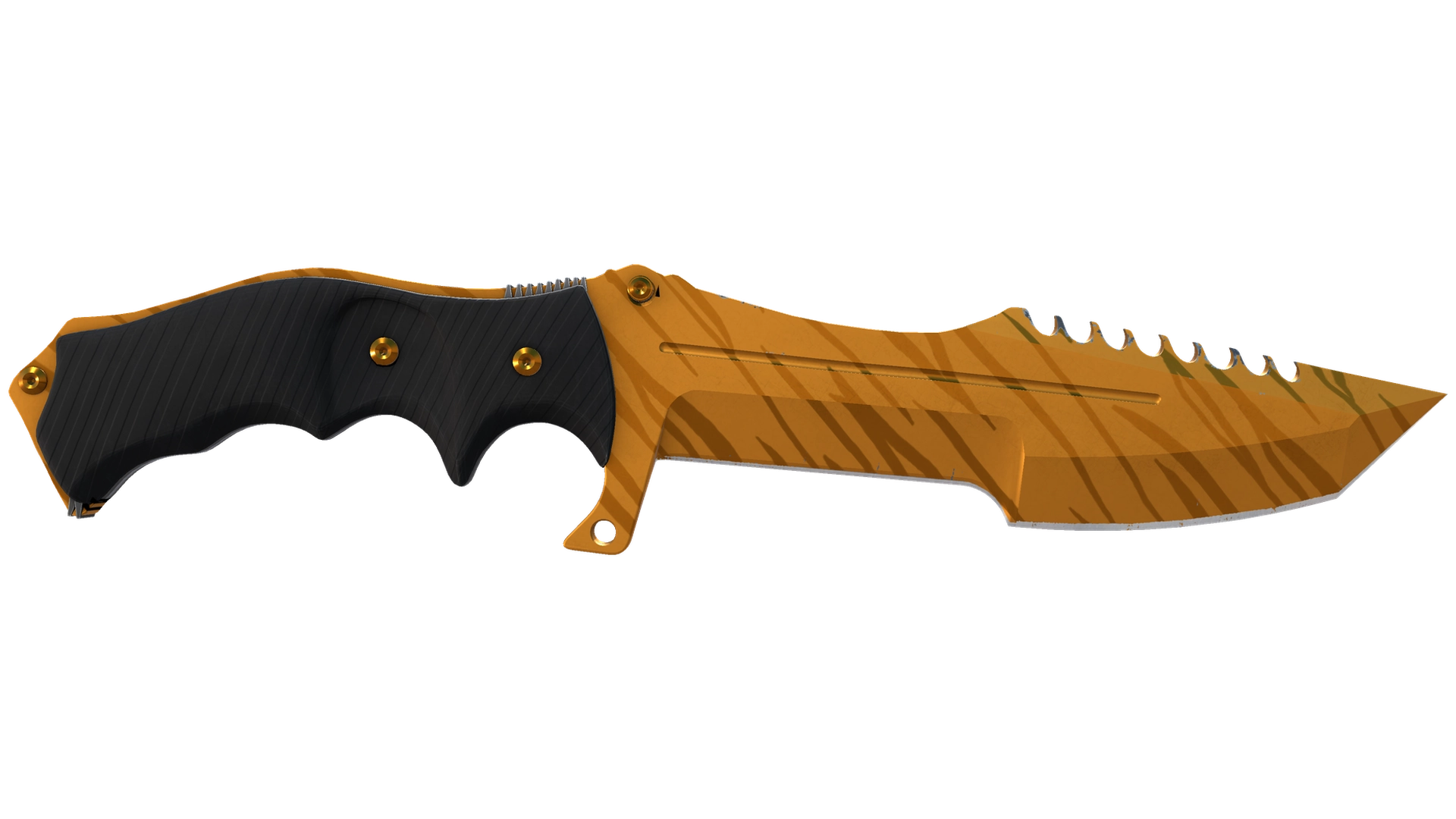 Tiger Tooth image
