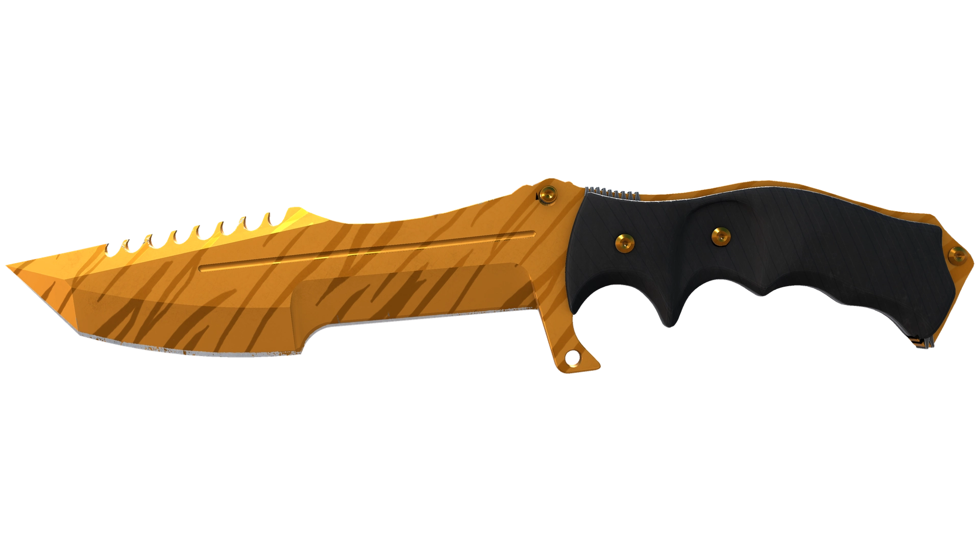 Tiger Tooth image
