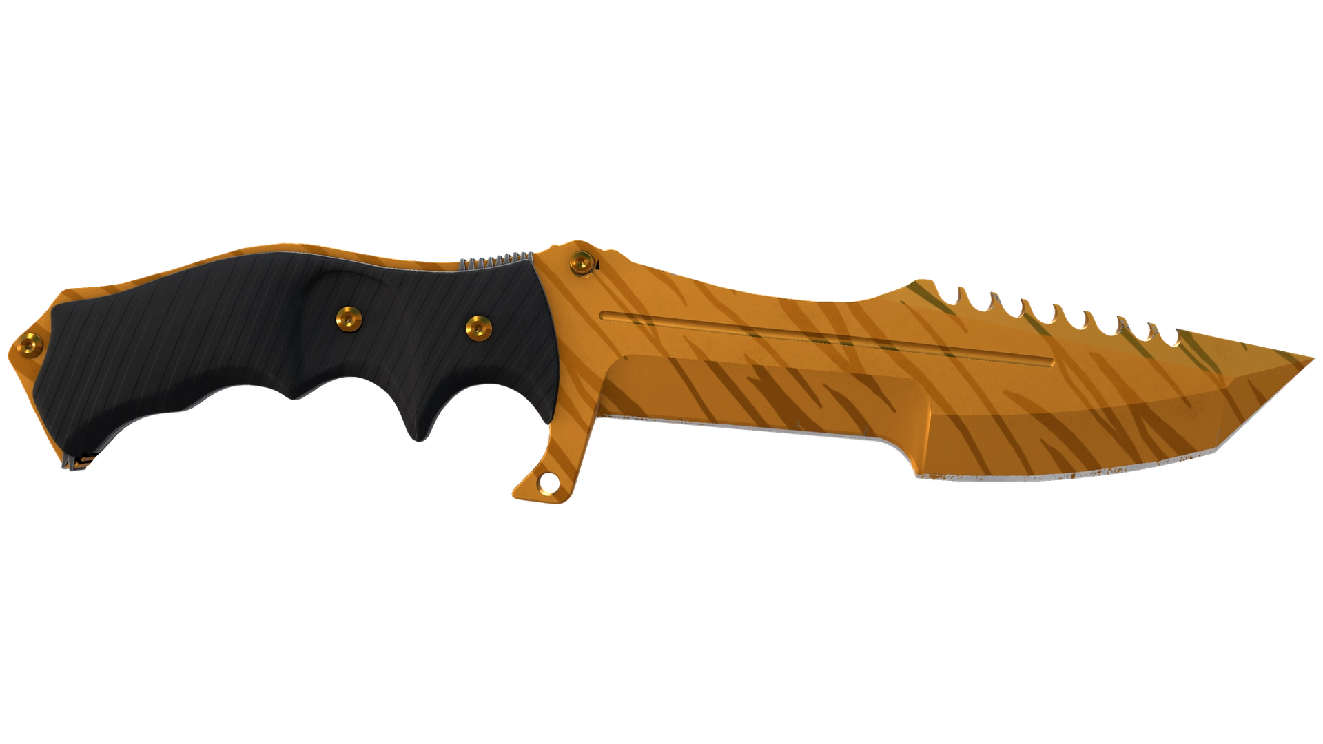 Tiger Tooth image
