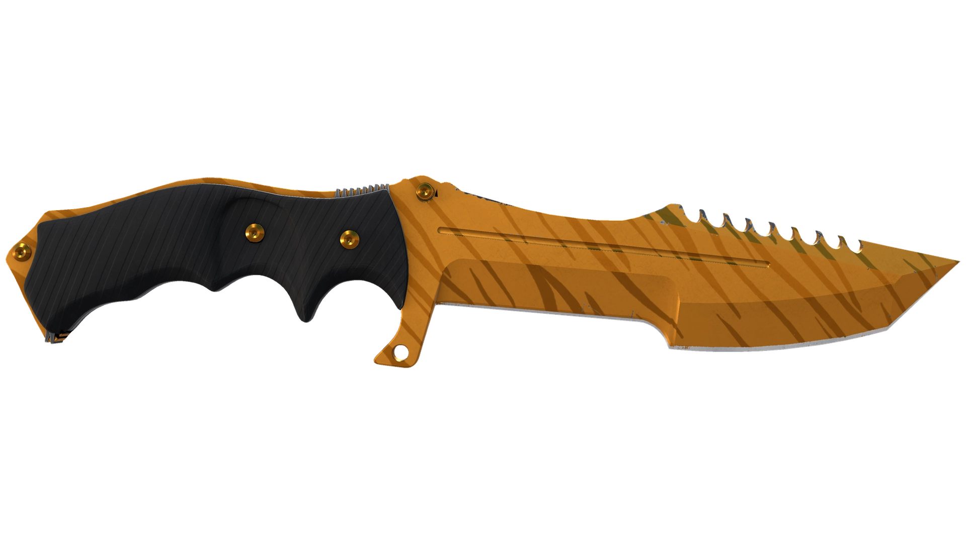 Tiger Tooth image