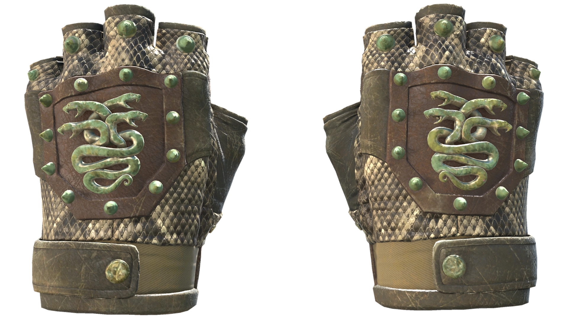 Rattler image