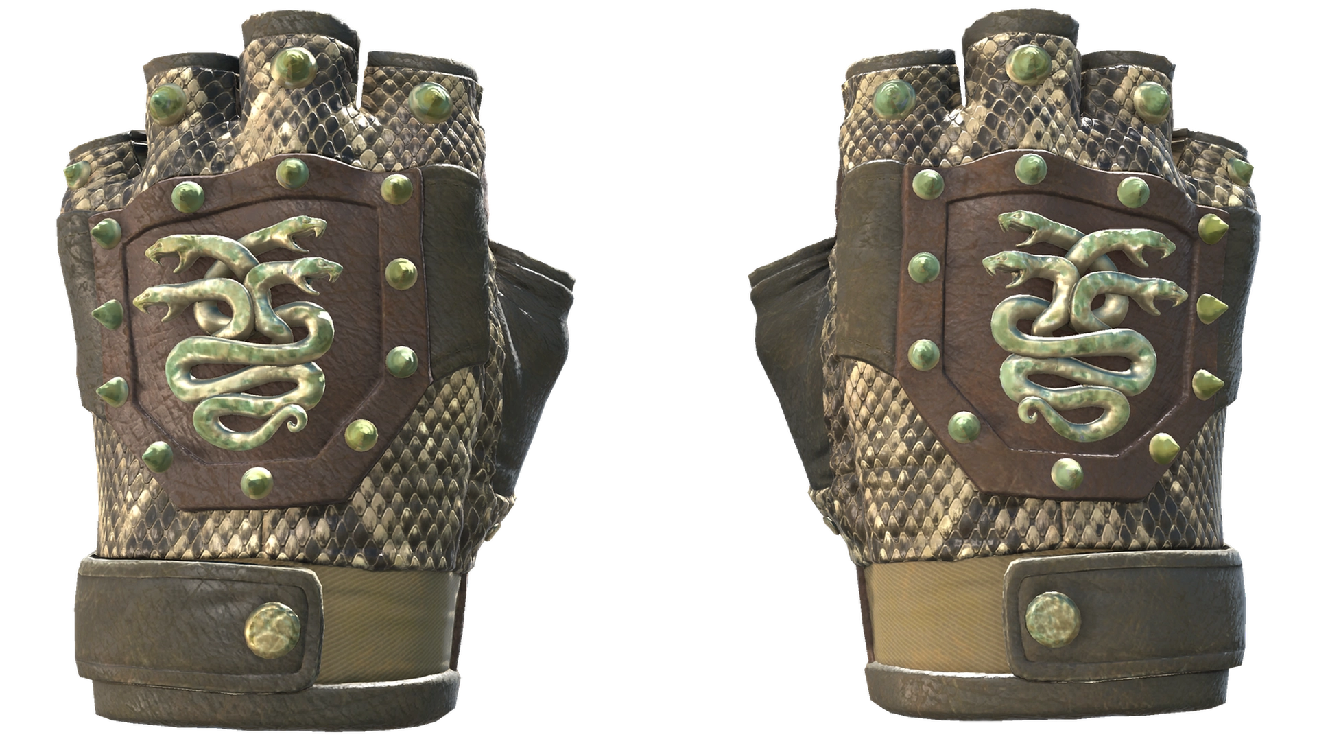Rattler image