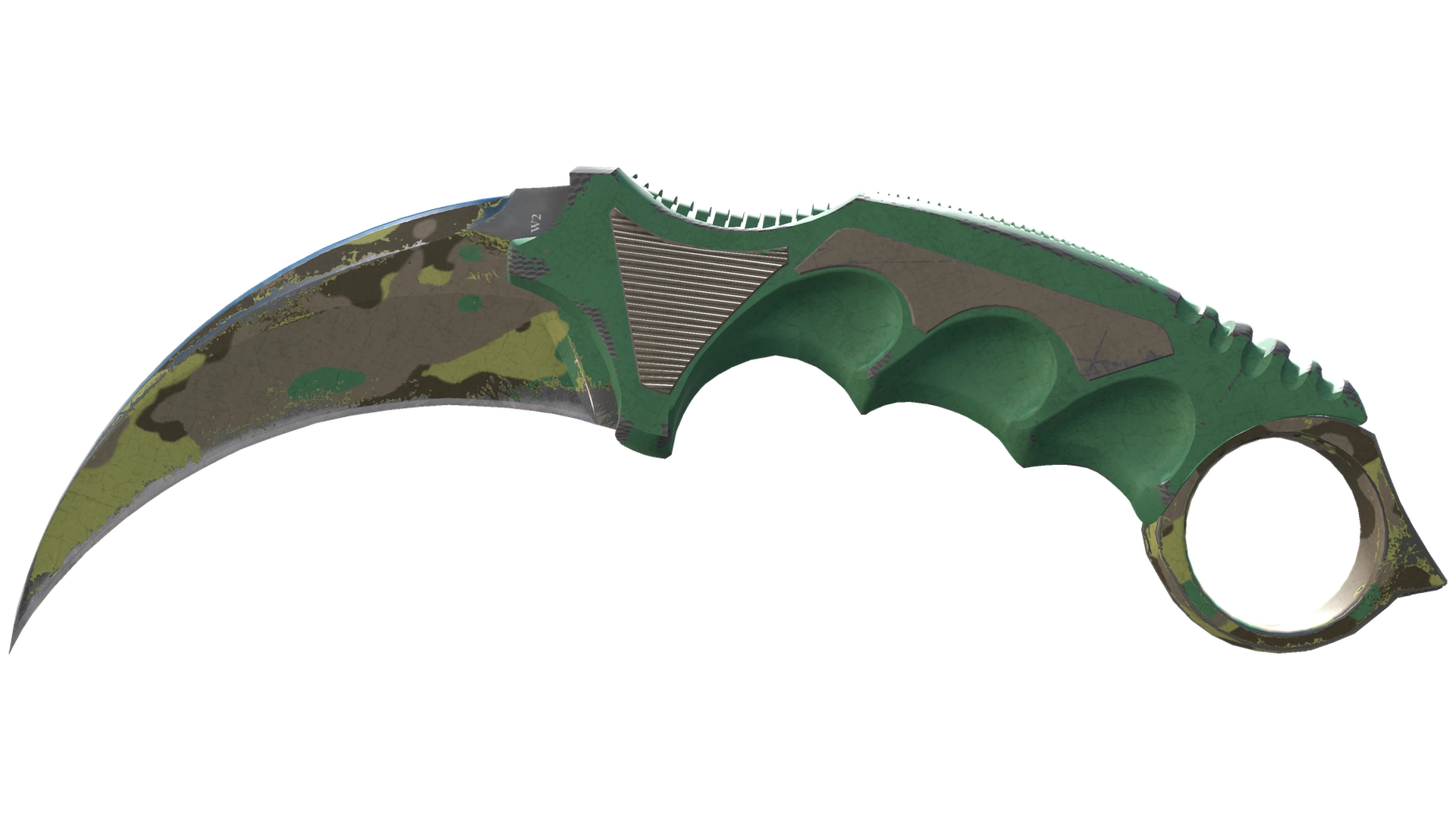 Boreal Forest image