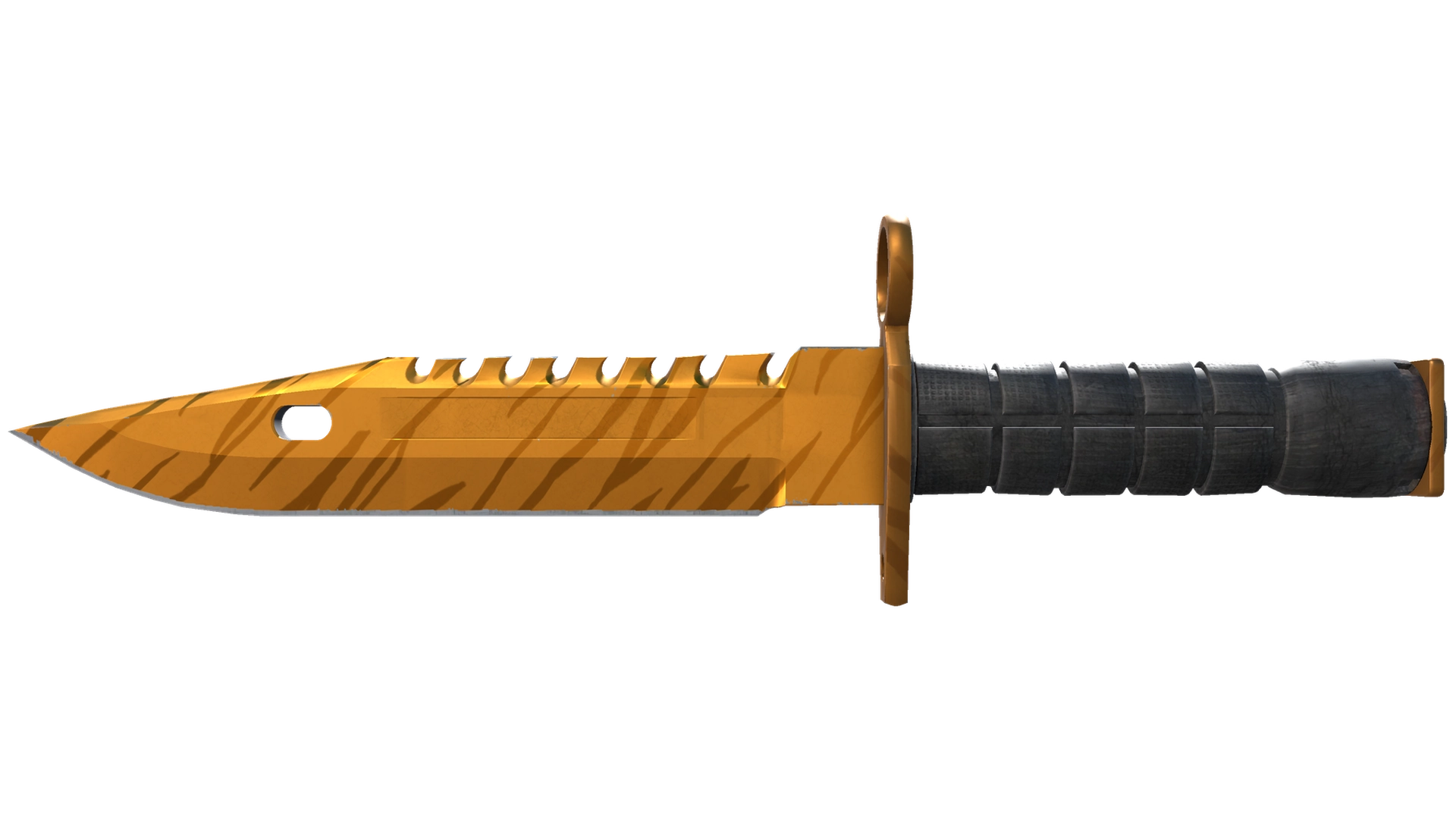 Tiger Tooth image