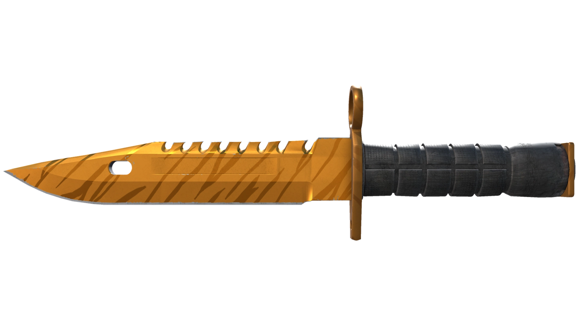 Tiger Tooth image
