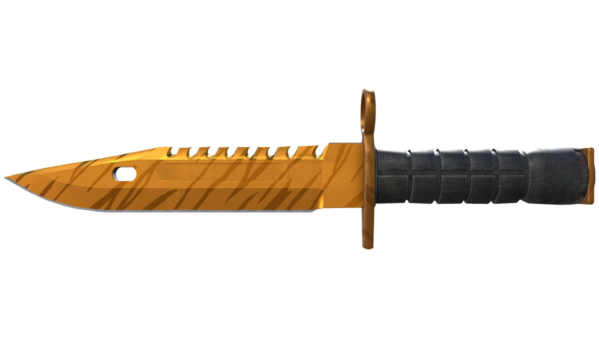 Tiger Tooth image