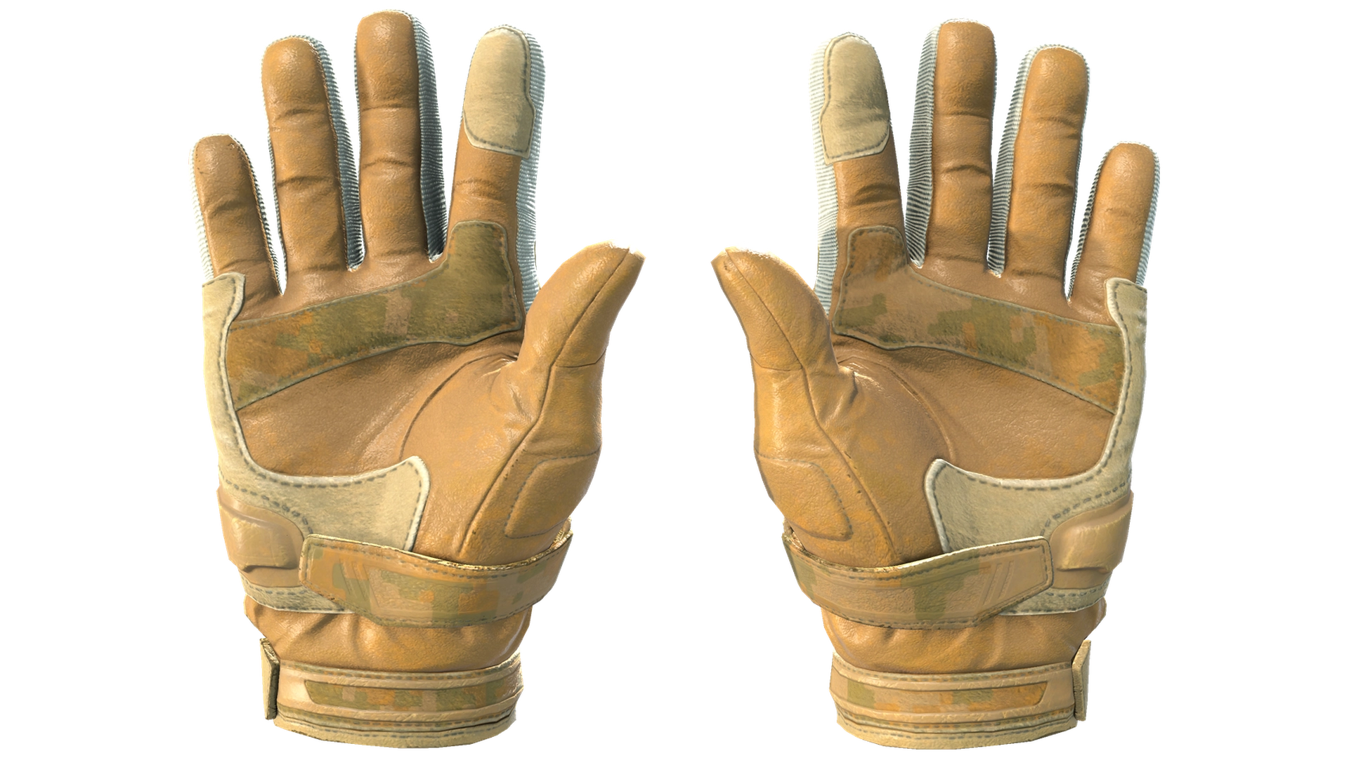 Transport image