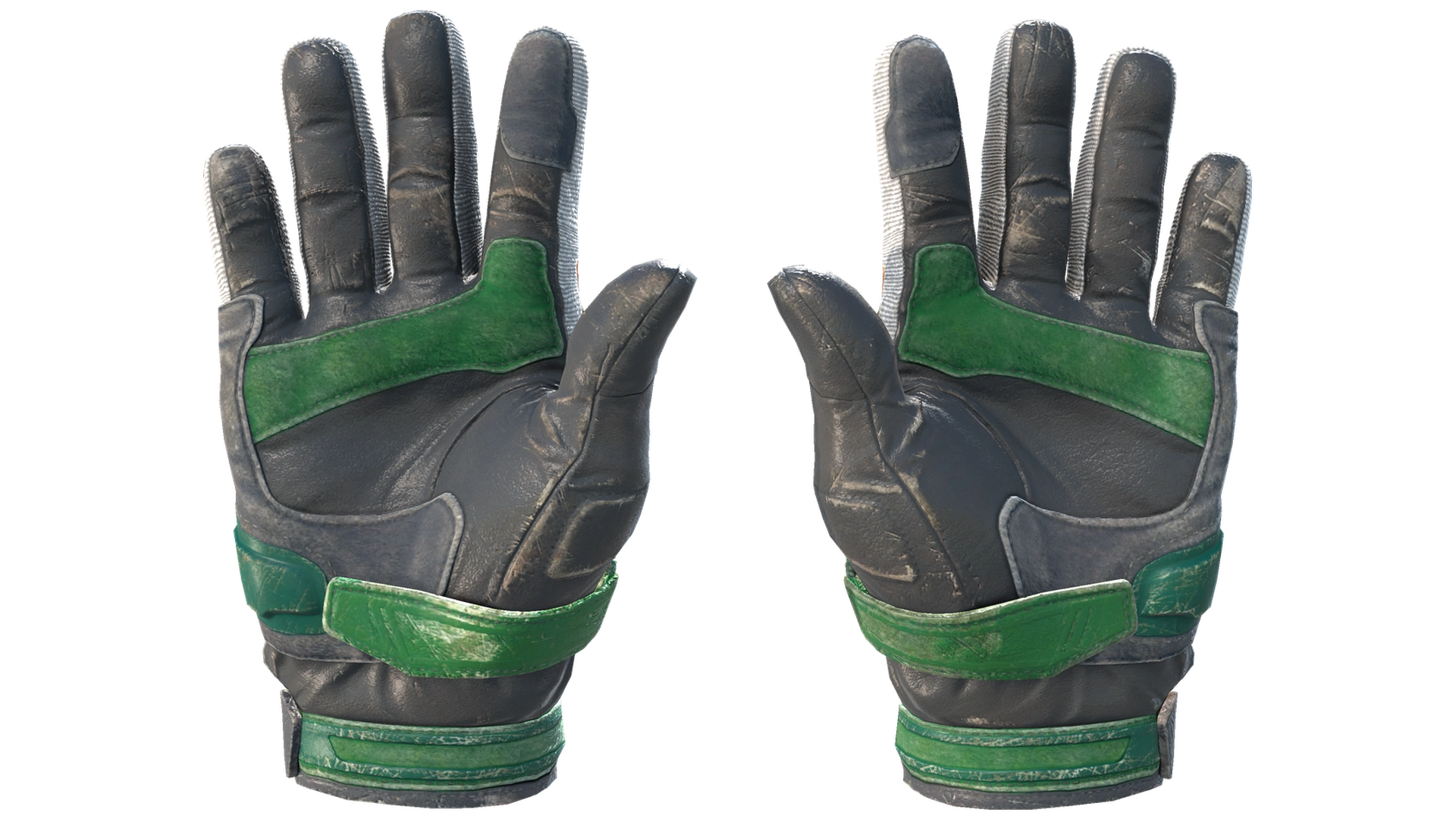 Turtle image