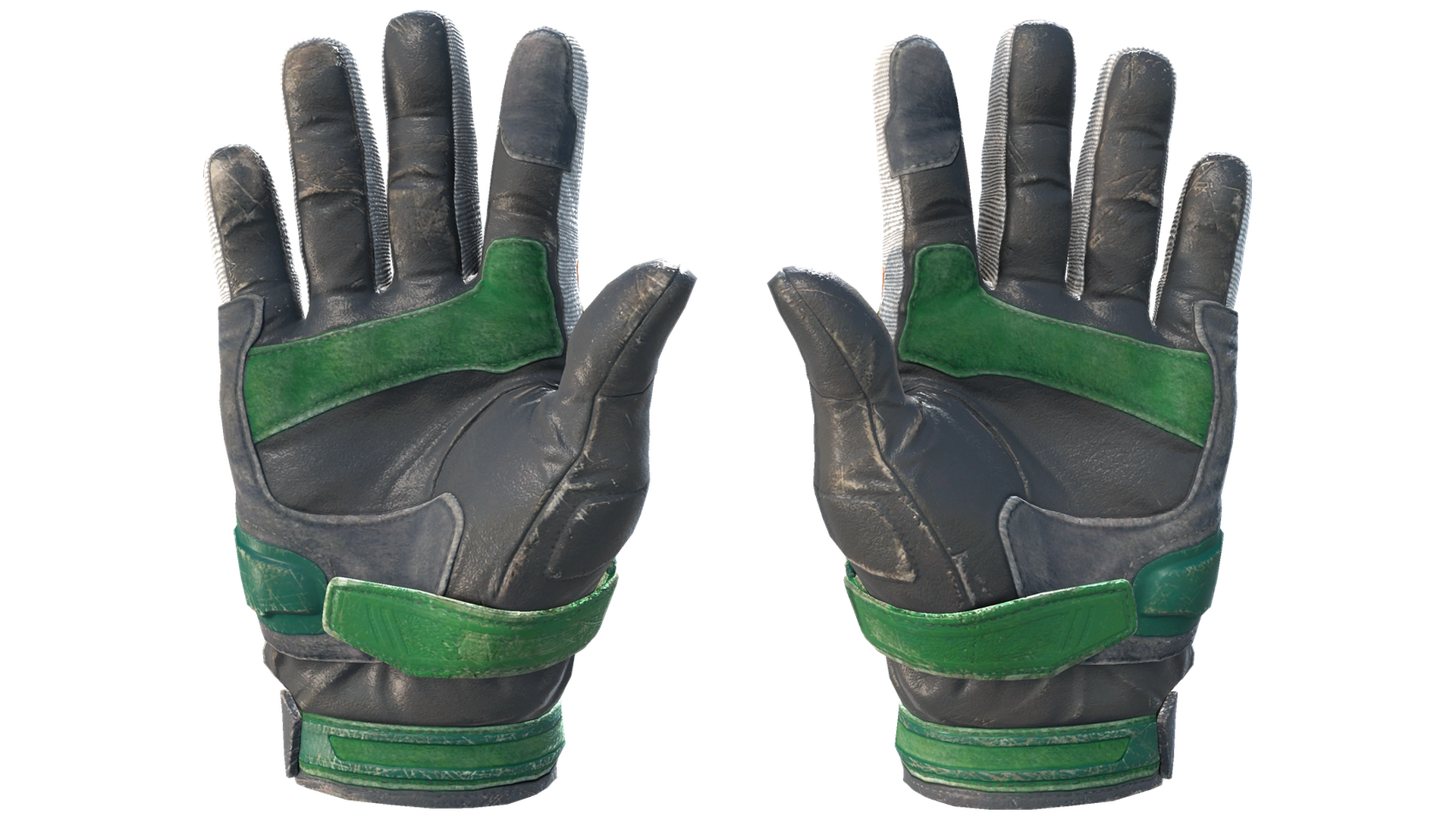 Turtle image