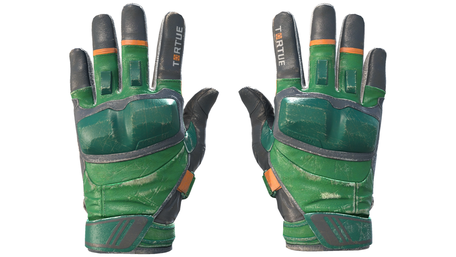 Turtle image