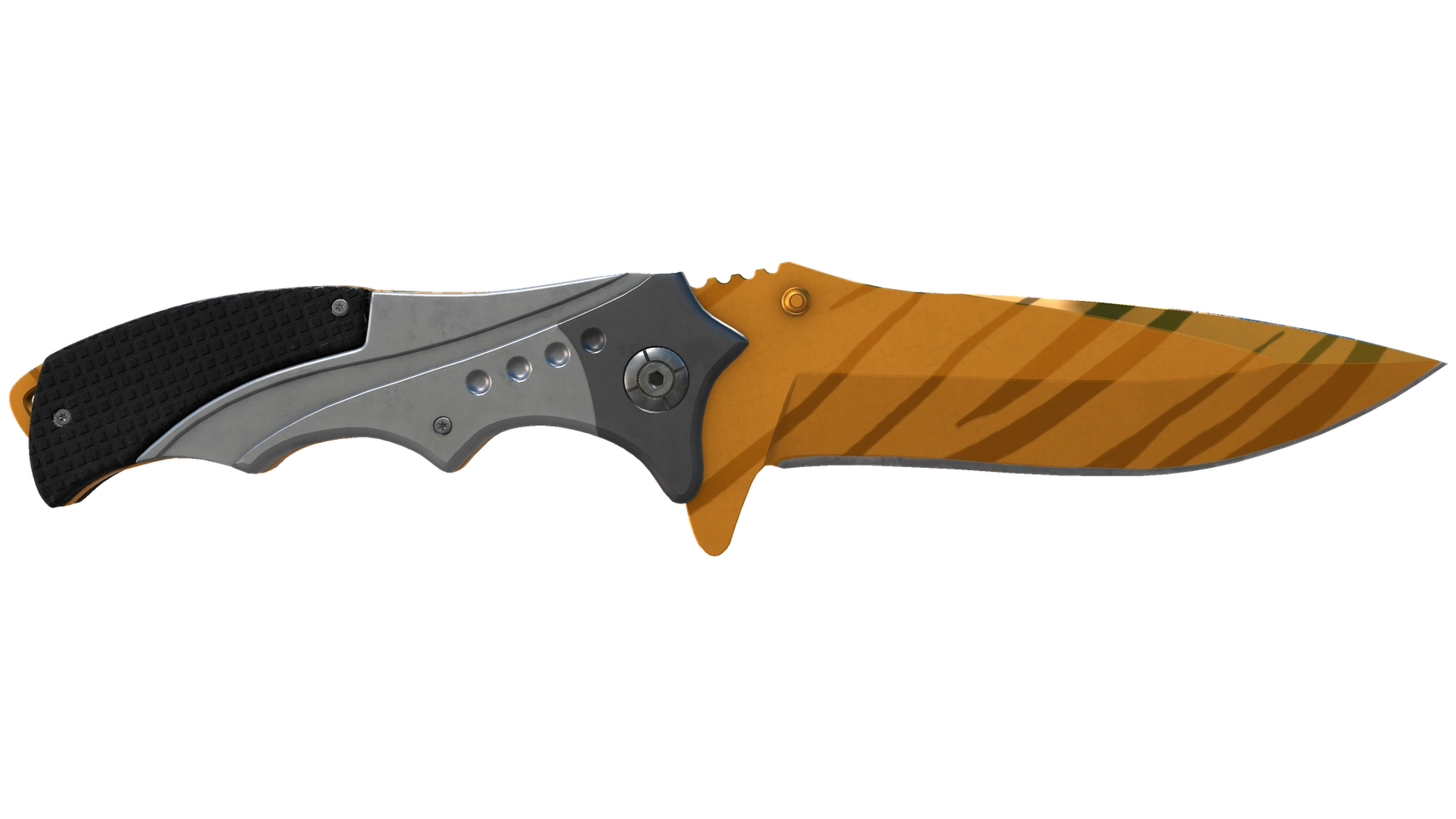 Tiger Tooth image